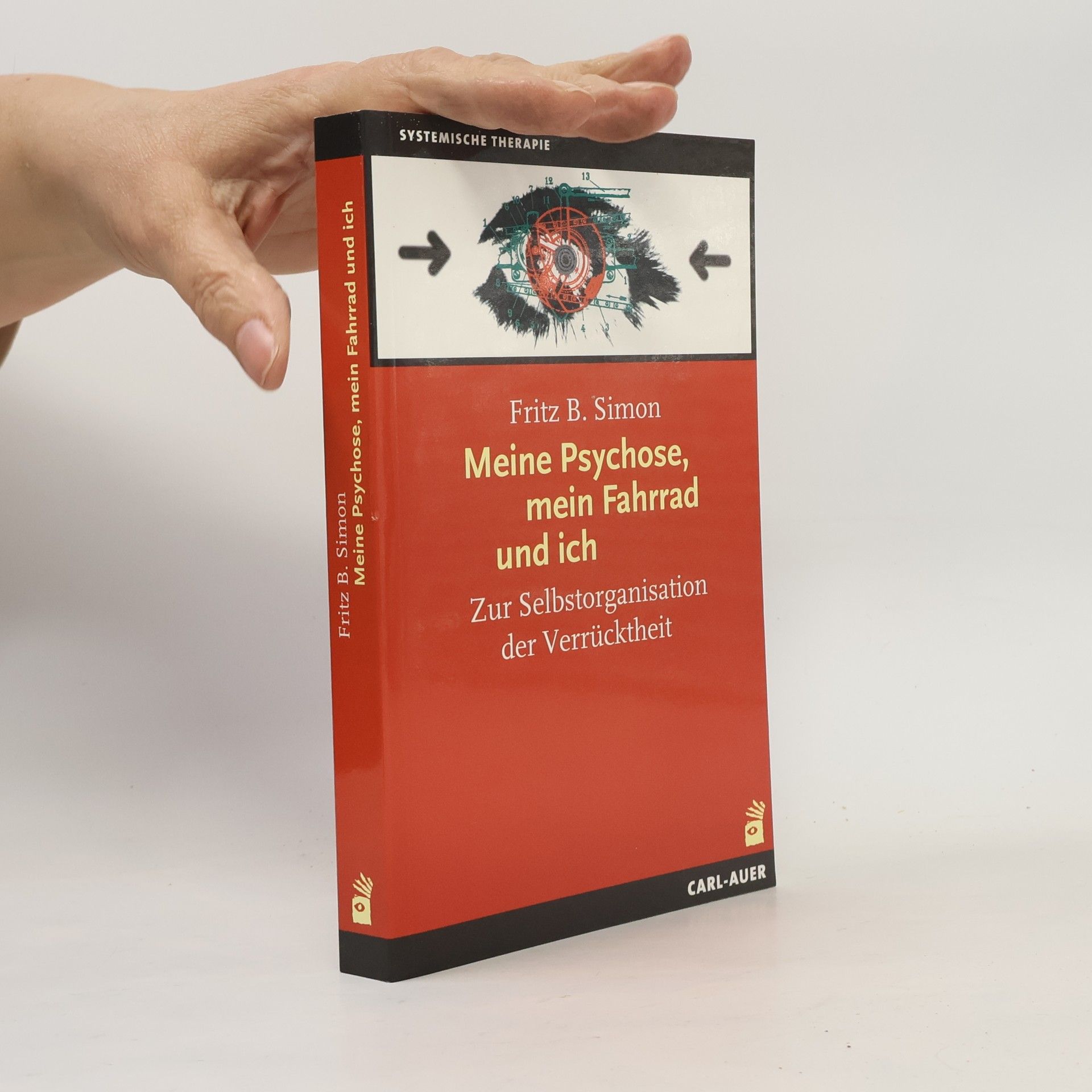 Fritz B. Simon Meine Psychose, mein Fahrrad und ich