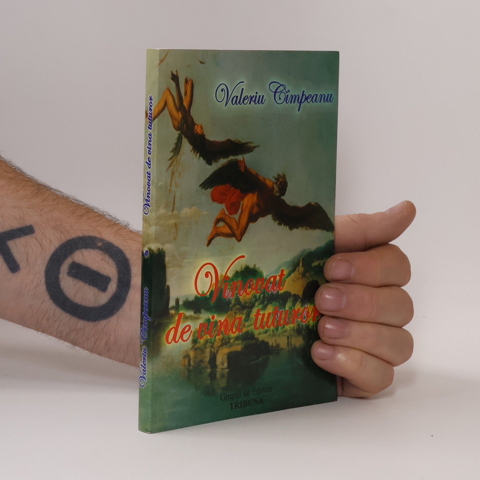 Valeriu Cîmpeanu Vinovat de vina tuturor