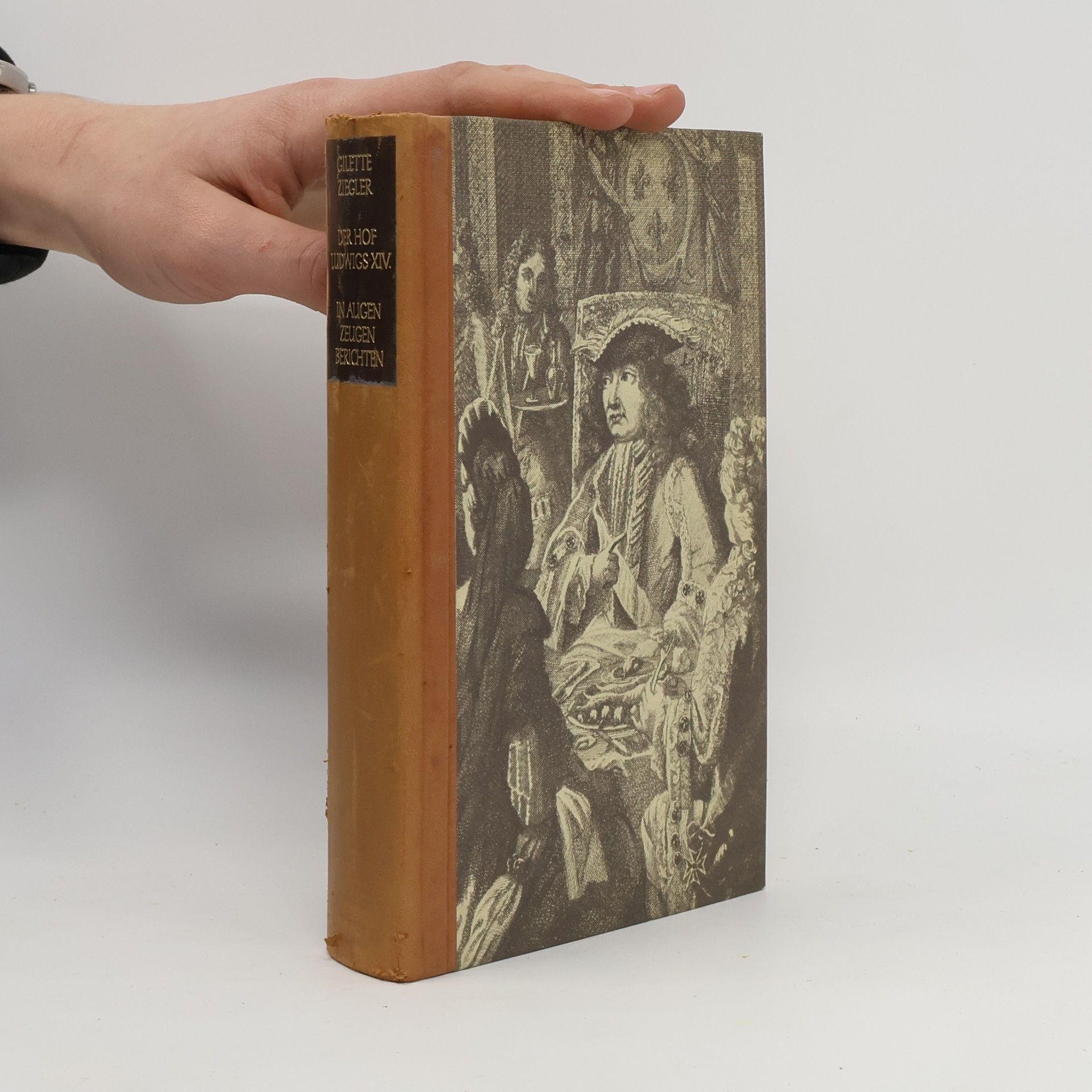 Gilette Ziegler Der Hof Ludwig XIV. in Augenzeugenberichten