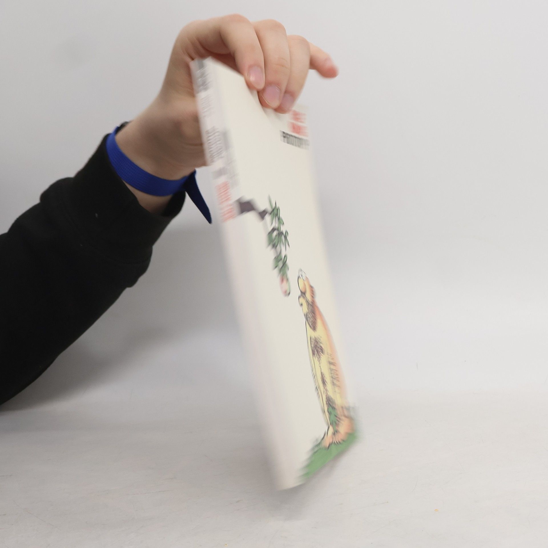 Ralf König Prototyp