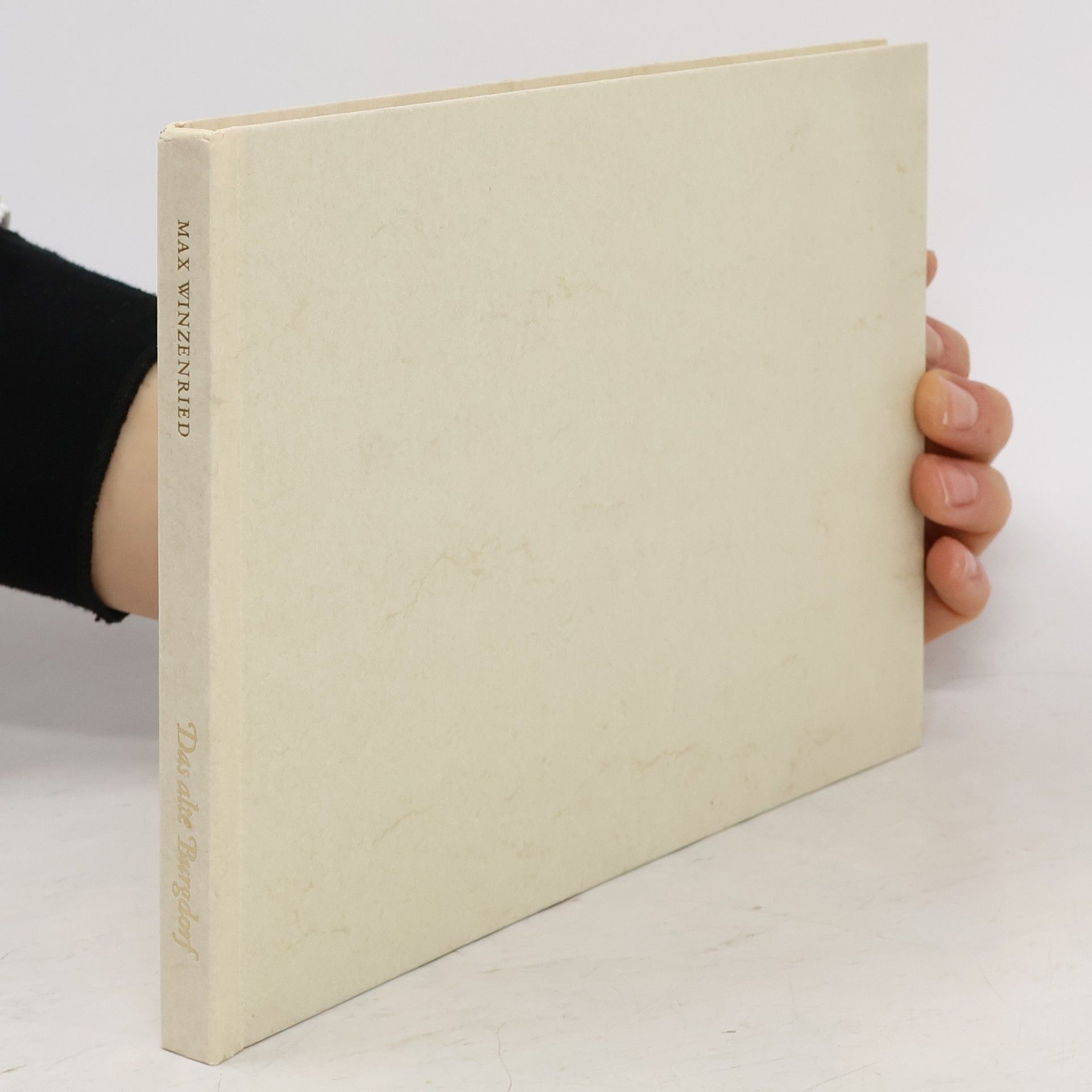 Max Winzenried Das alte Burgdorf