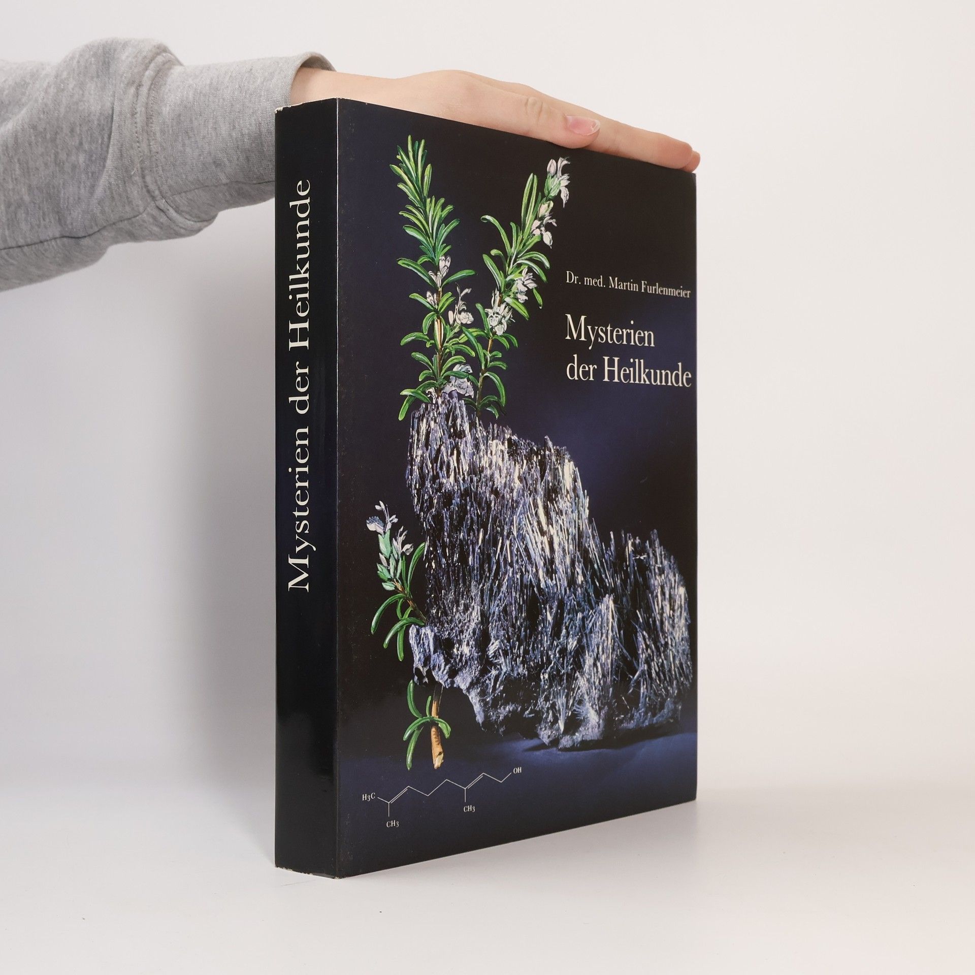 Martin Furlenmeier Mysterien der Heilkunde