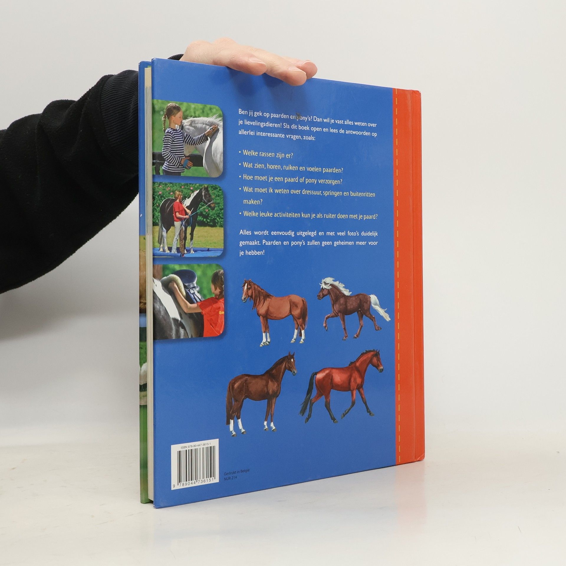 Ute Ochsenbauer Mijn grote boek over paarden en pony's