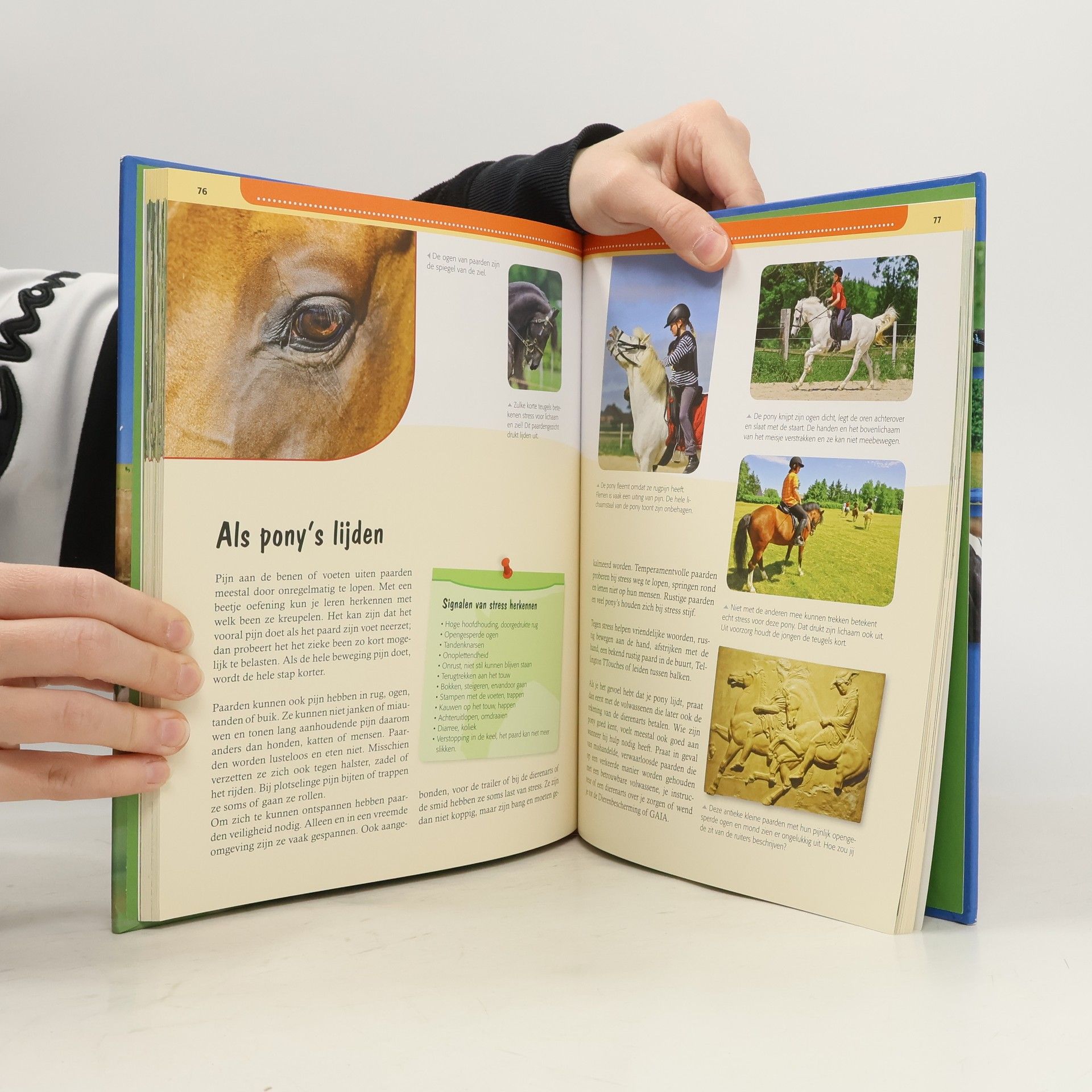 Ute Ochsenbauer Mijn grote boek over paarden en pony's
