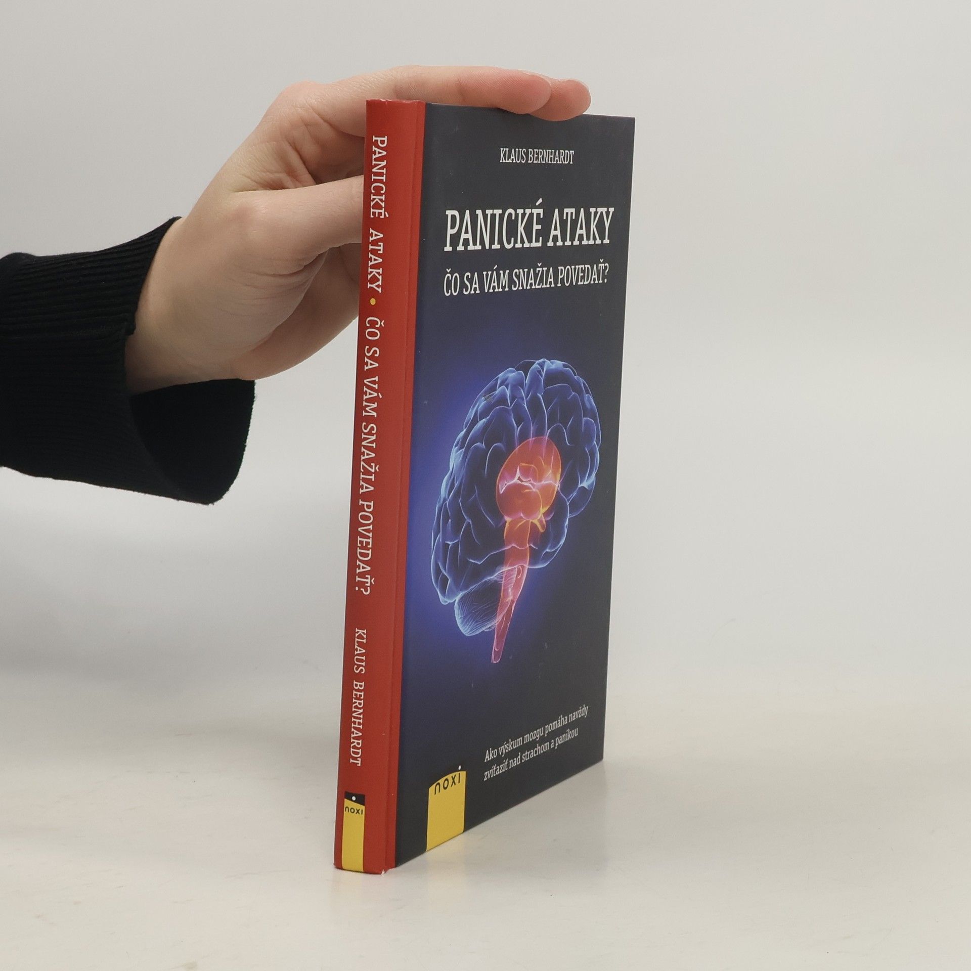 Klaus Bernhardt Panické ataky : Čo se vám snažia povedať?