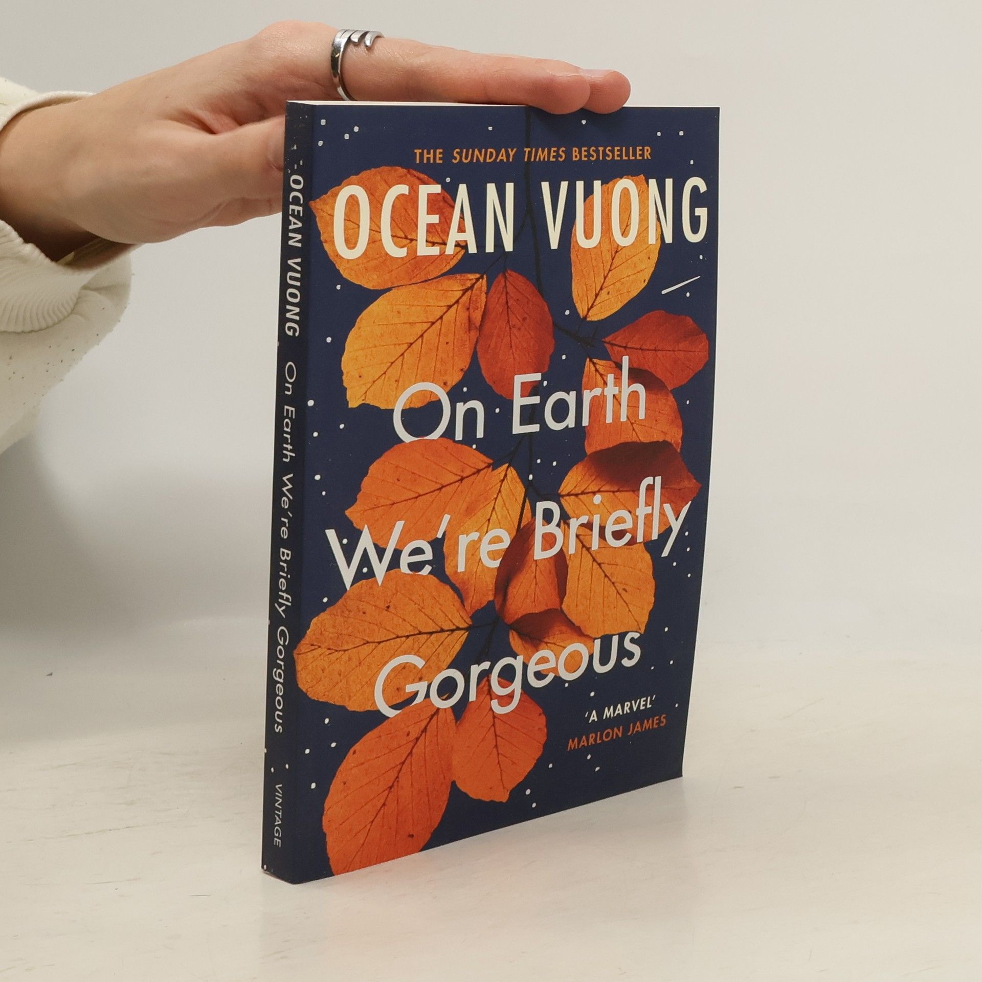 Ocean Vuong On Earth We're Briefly Gorgeous