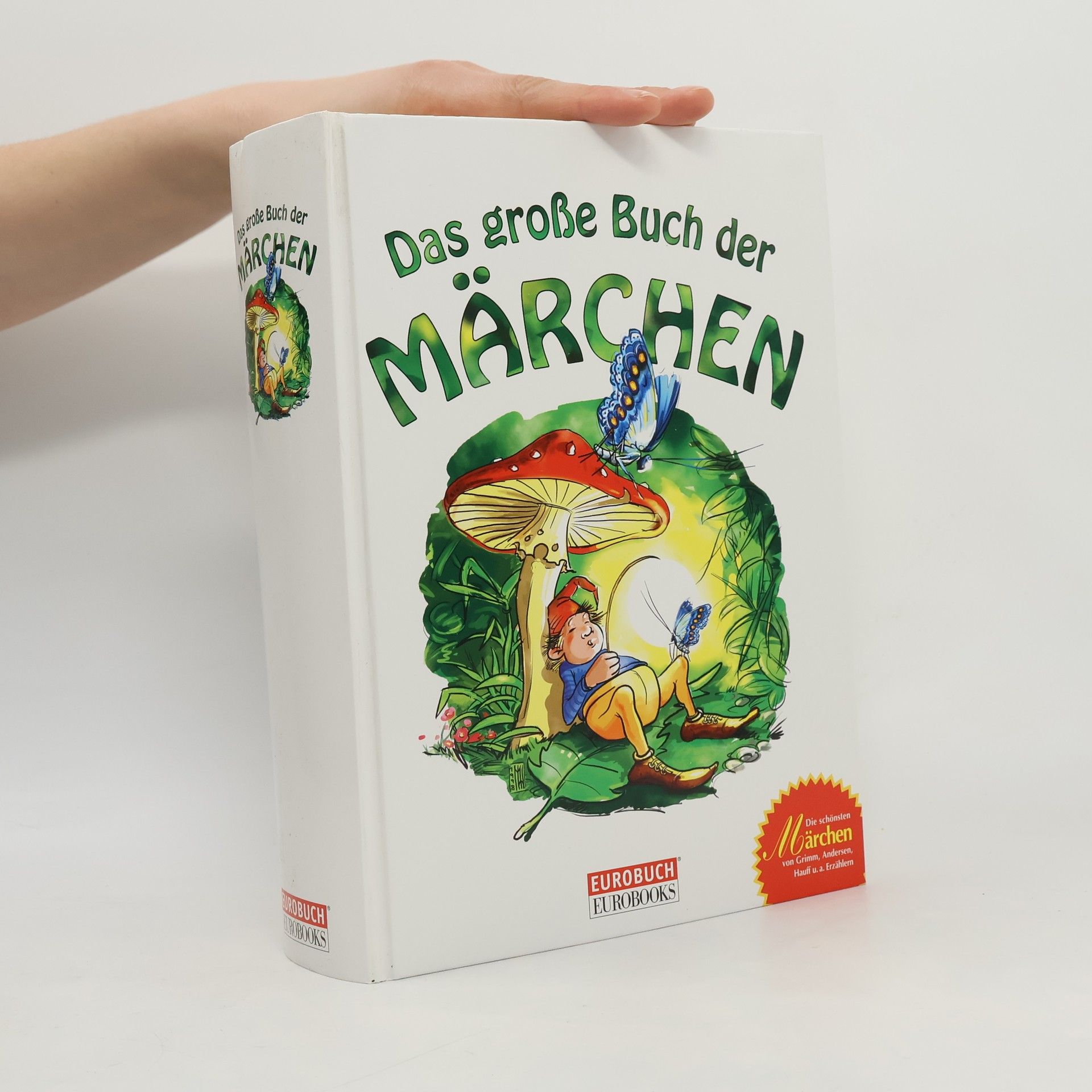 Autores varios Das große Buch der Märchen