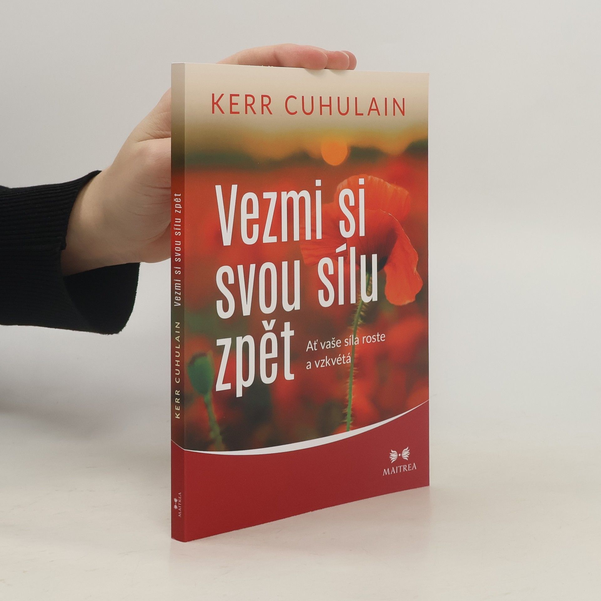 Kerr Cuhulain Vezmi si svou sílu zpět : ať vaše síla roste a vzkvétá