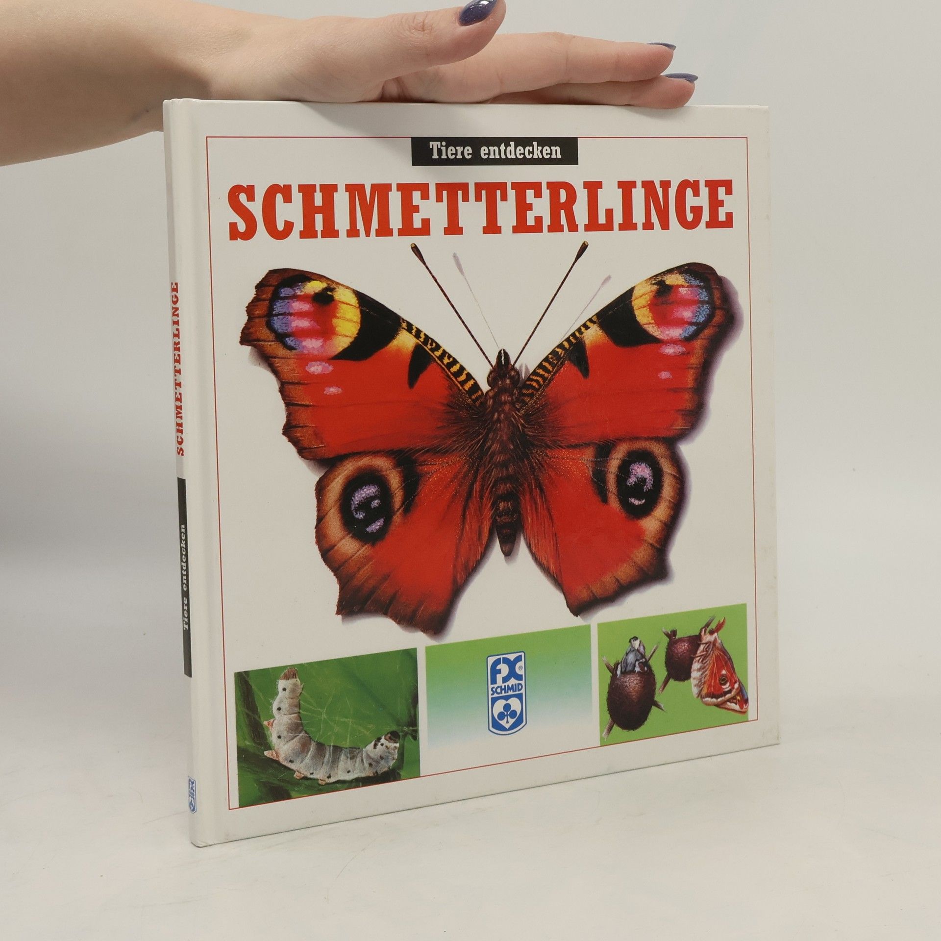 Maria A. ngels Julivert Schmetterlinge