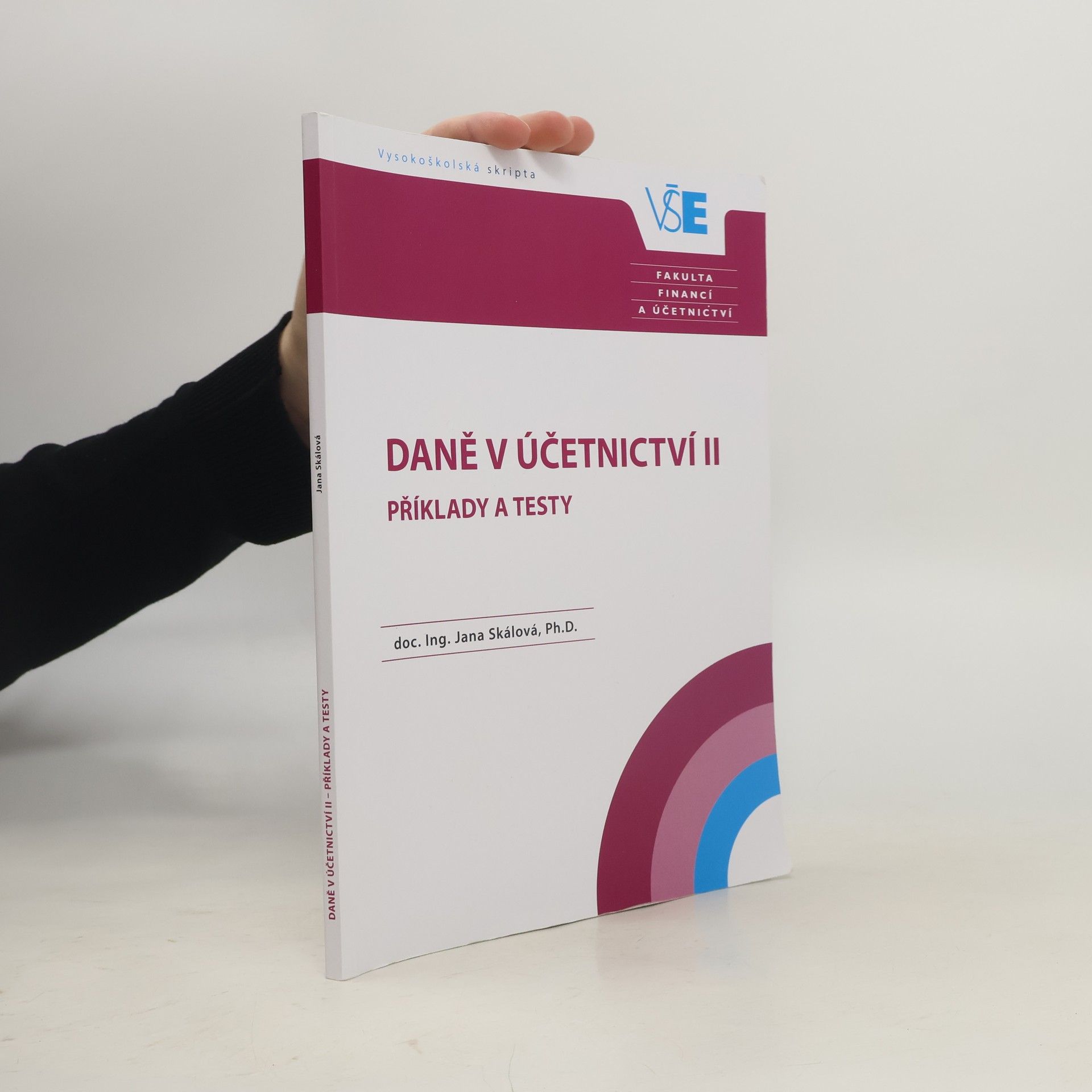 Autorenkollektiv Daně v účetnictví II