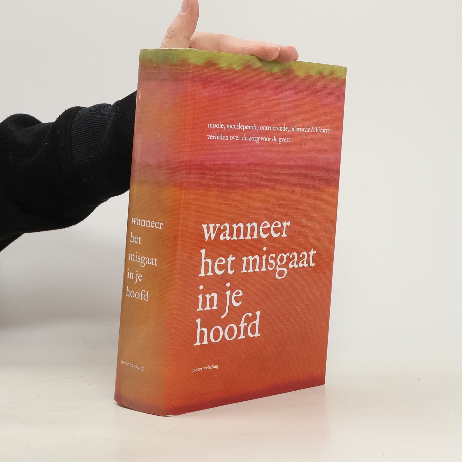 Pieter Webeling Wanneer het misgaat in je hoofd