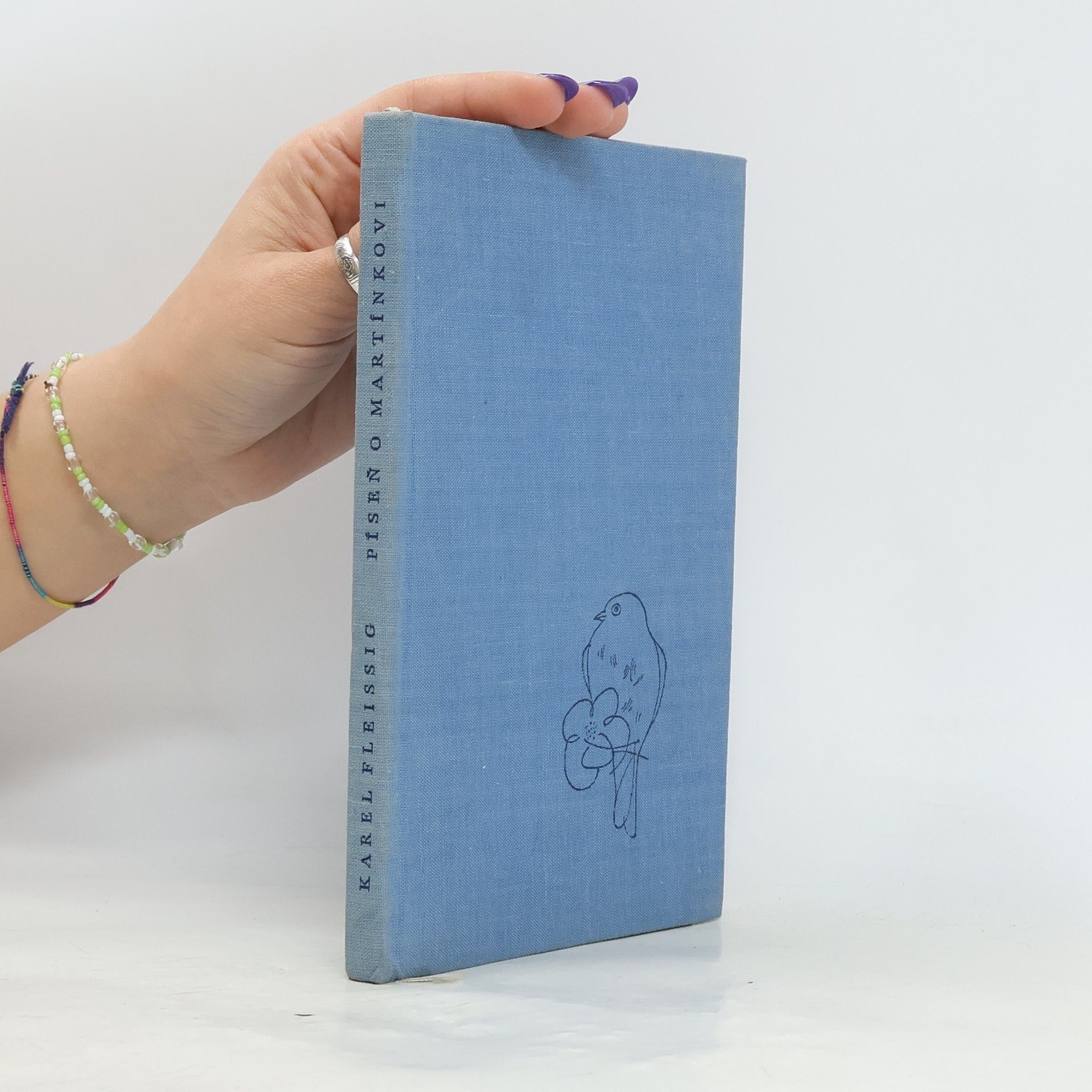 Karel Fleissig Píseň o Martínkovi