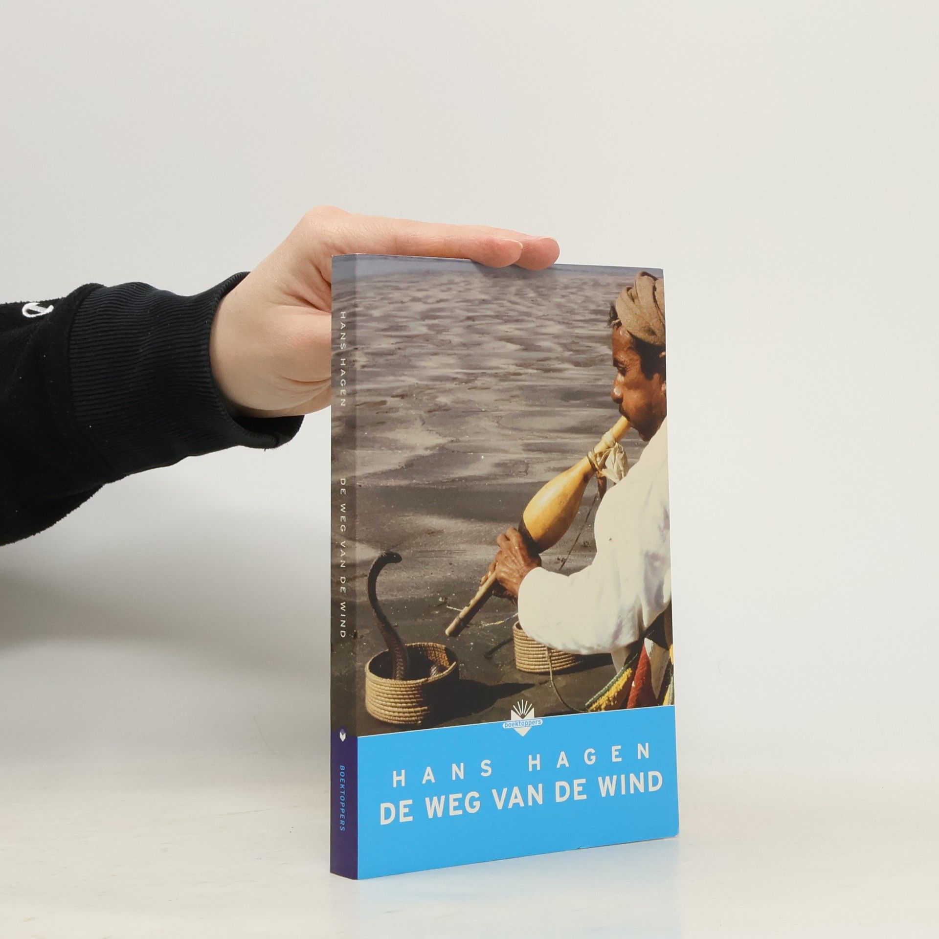 Hans-Hagen Nolte De weg van de wind
