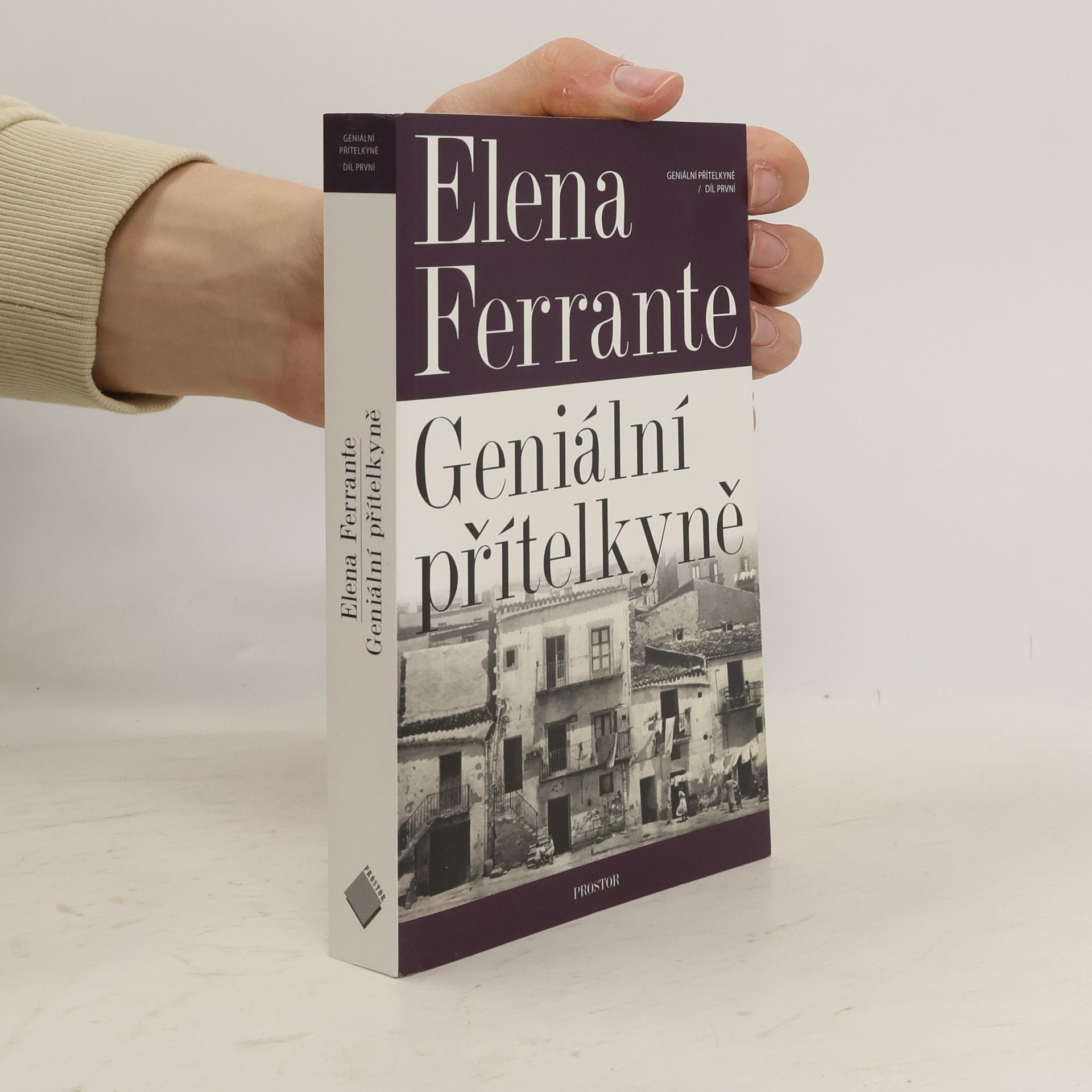 Elena Ferrante Geniální přítelkyně 1. Dětství a dospívání