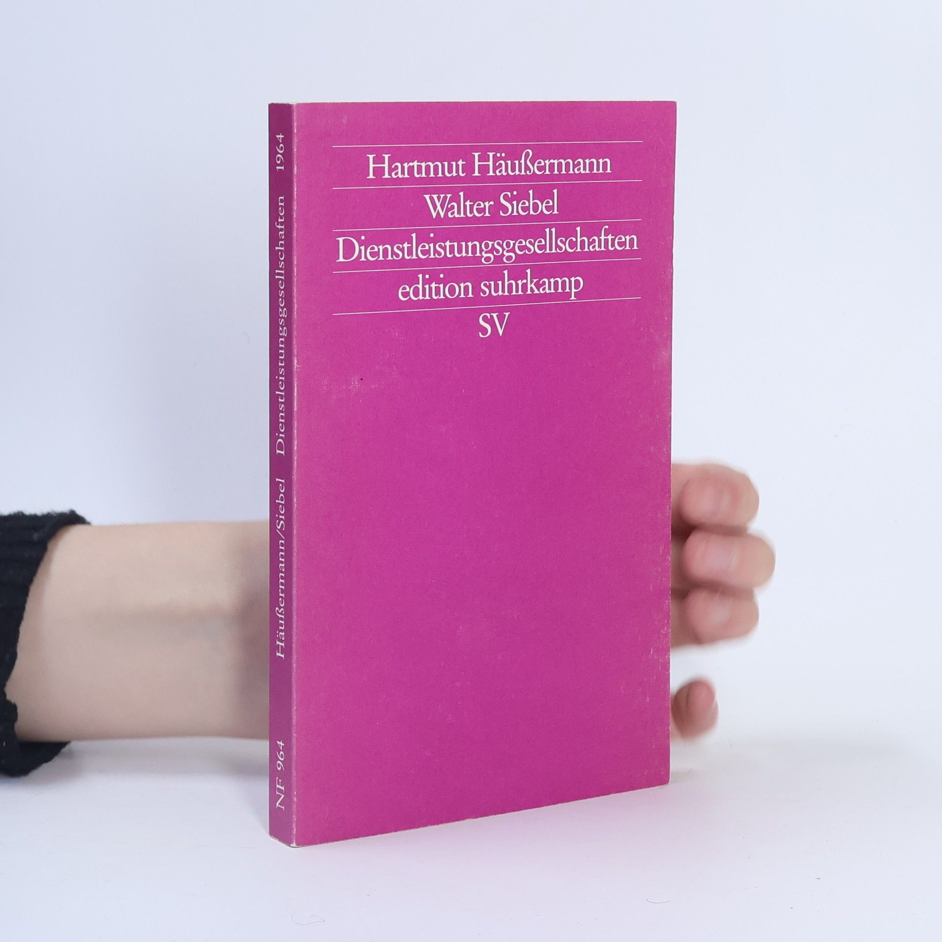 Hartmut Häußermann Dienstleistungsgesellschaften