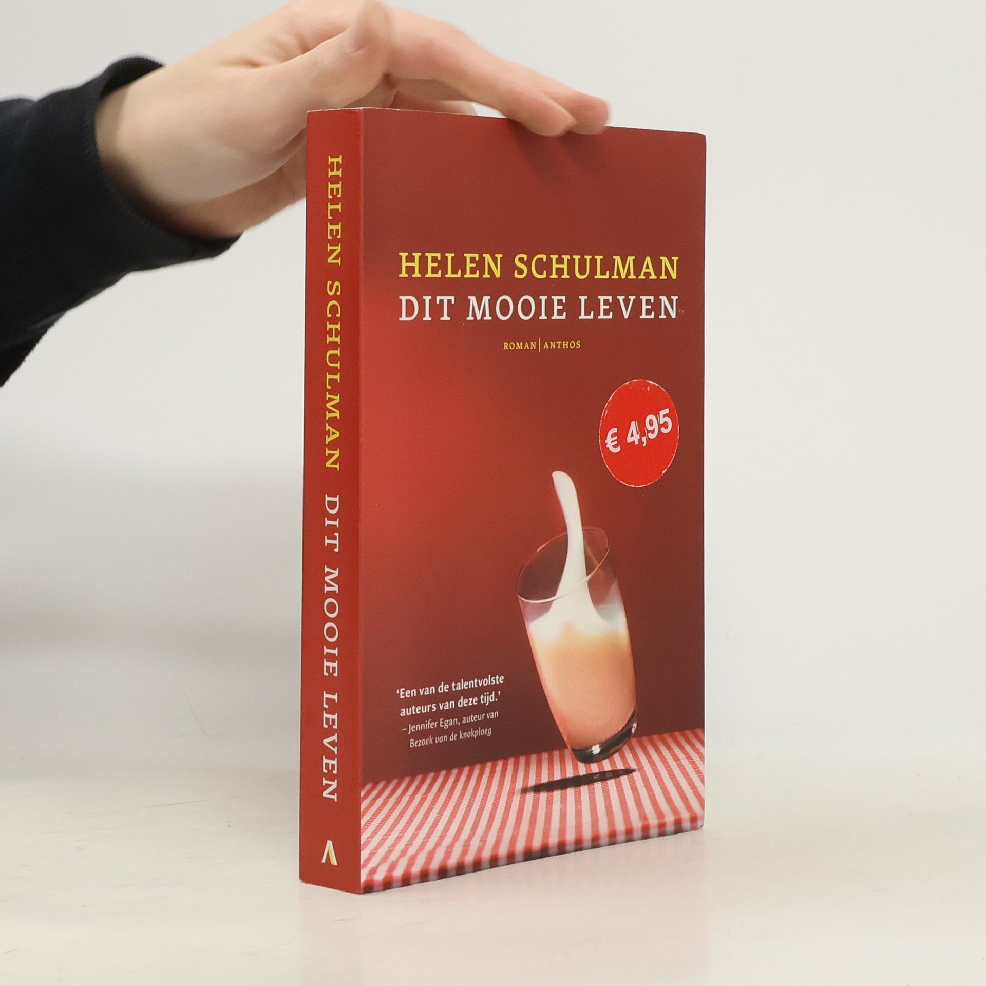 Helen Schulman Dit mooie leven