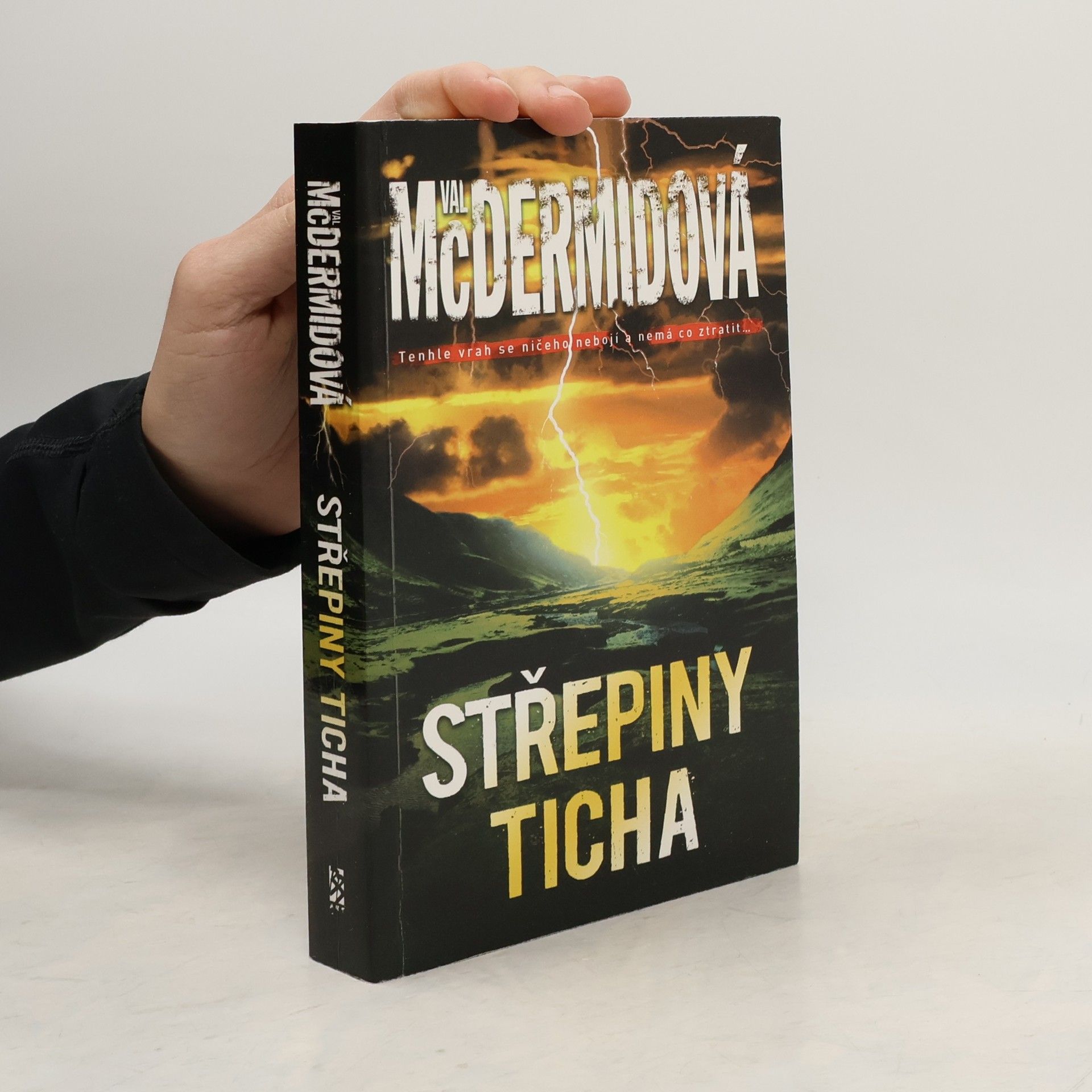 Val McDermid Střepiny ticha