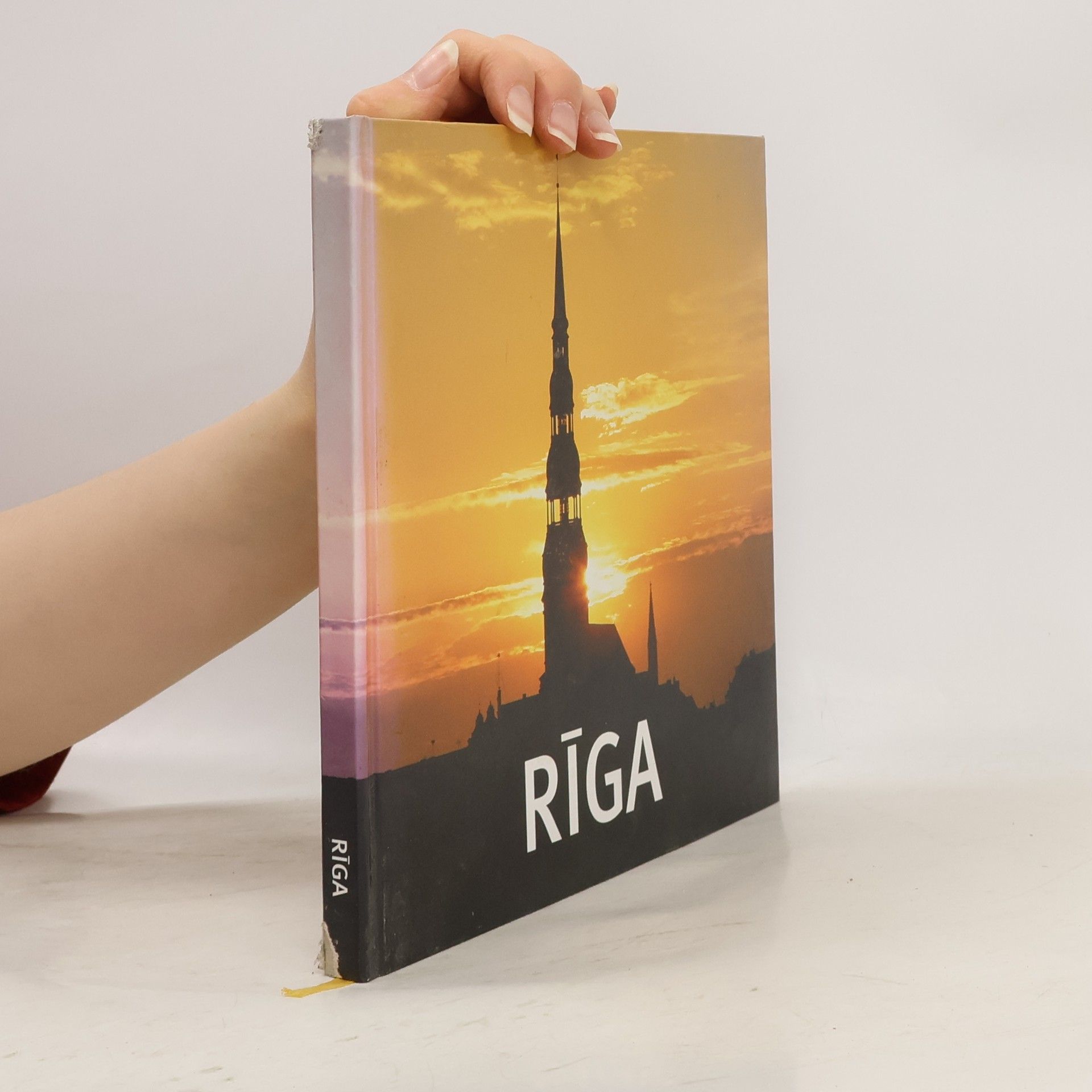 Aivars Bērzinš Rïga. Anno 1201.