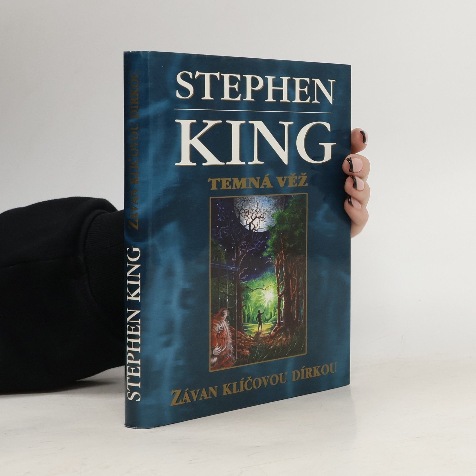 Stephen King Temná věž: Závan klíčovou dírkou