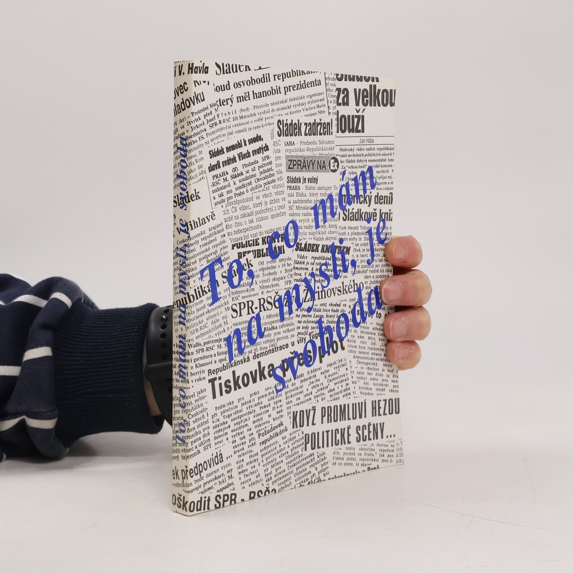 Miroslav Sládek To, co mám na mysli, je svoboda