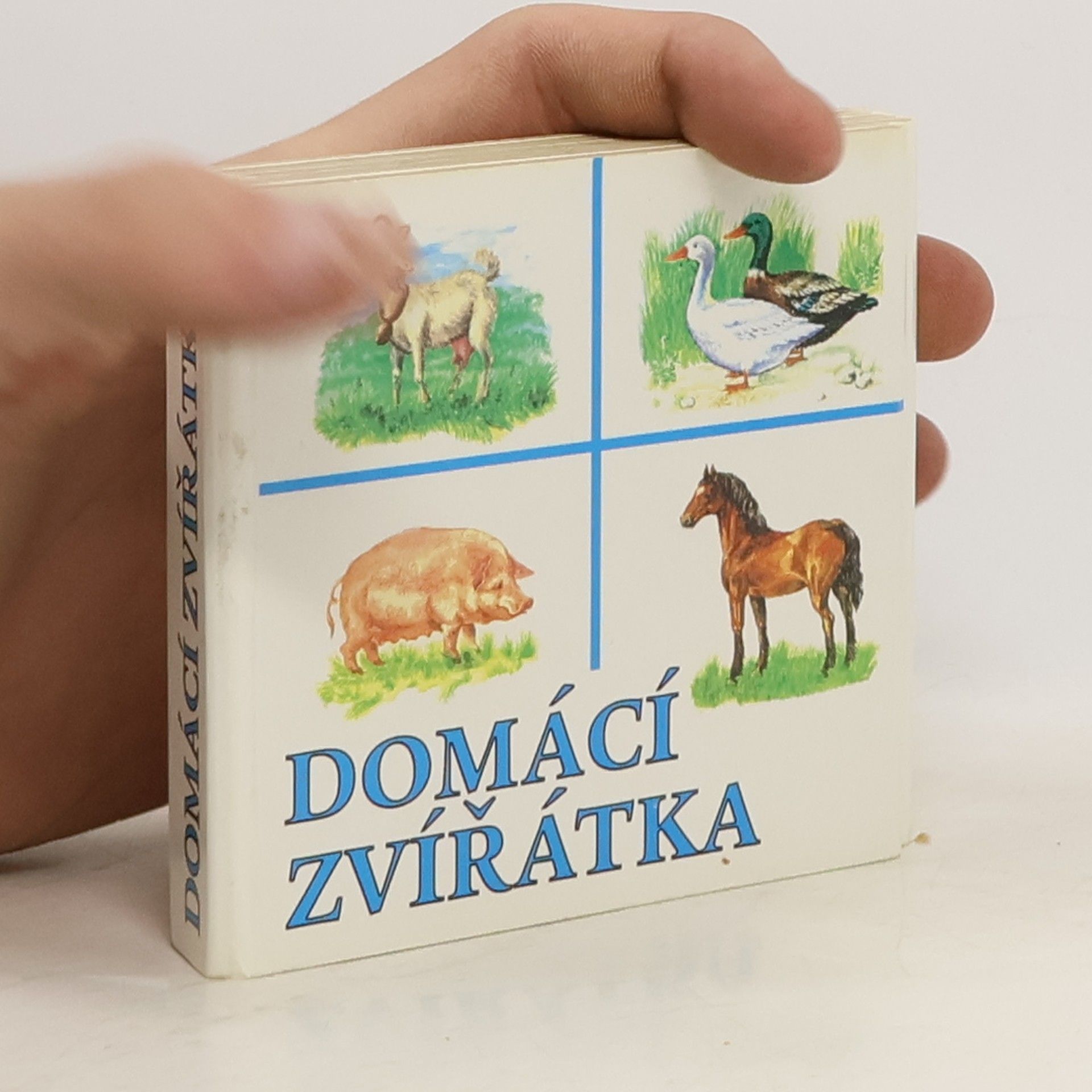 Auteurscollectief Domácí zvířátka