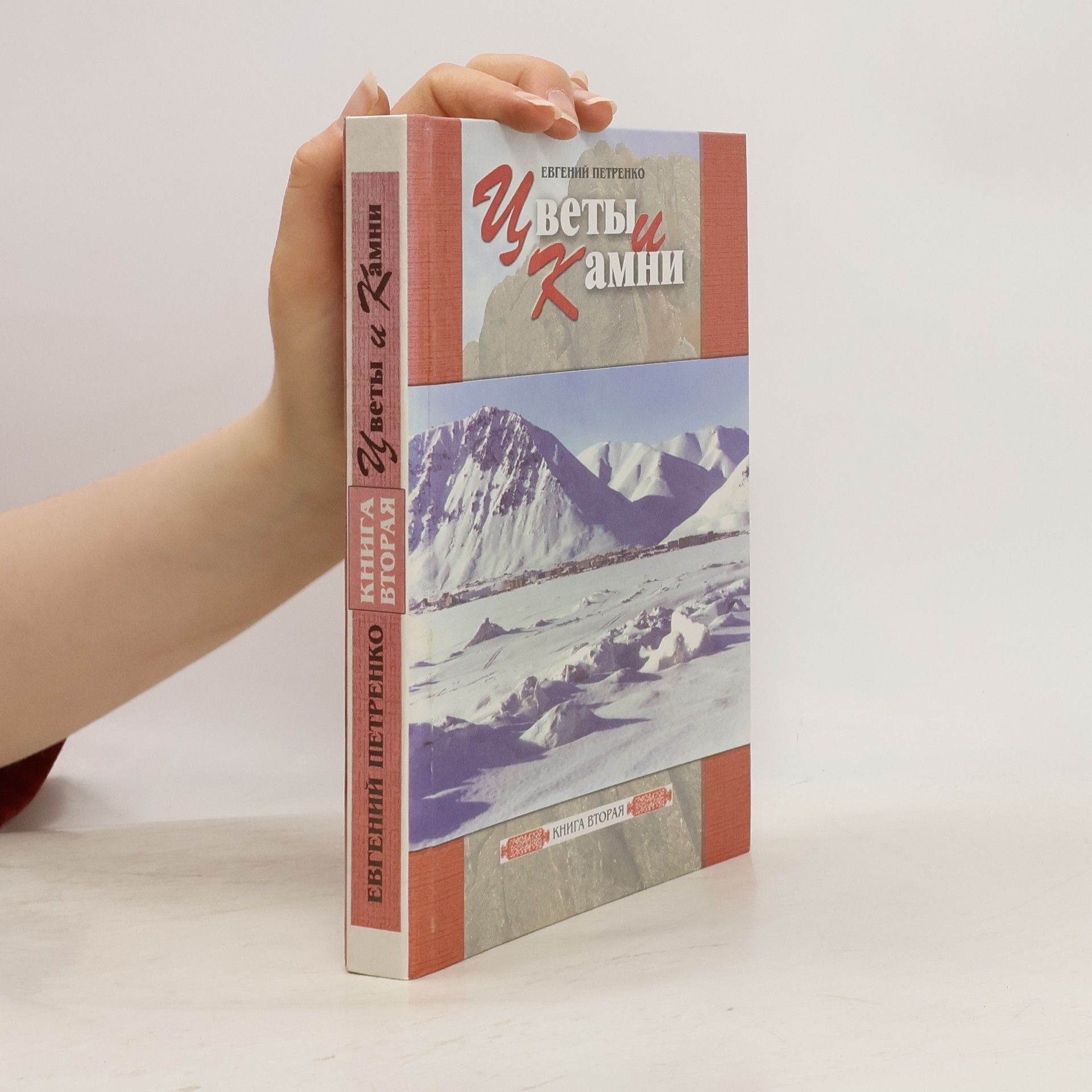 Евгений Петренко Цветы и камни 2