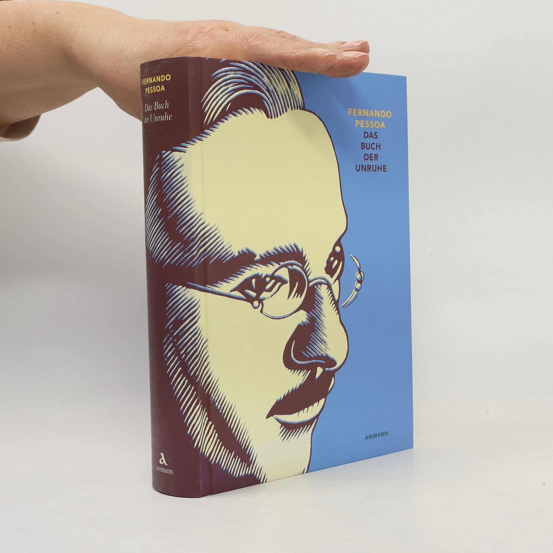 Fernando Pessoa Das Buch der Unruhe des Hilfsbuchhalters Bernardo Soares