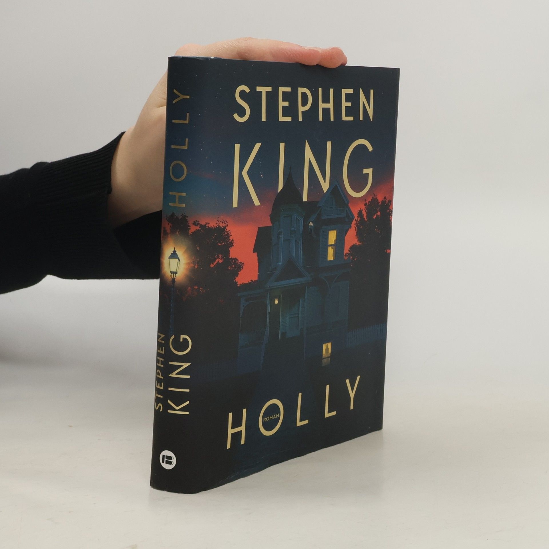 Stephen King Holly