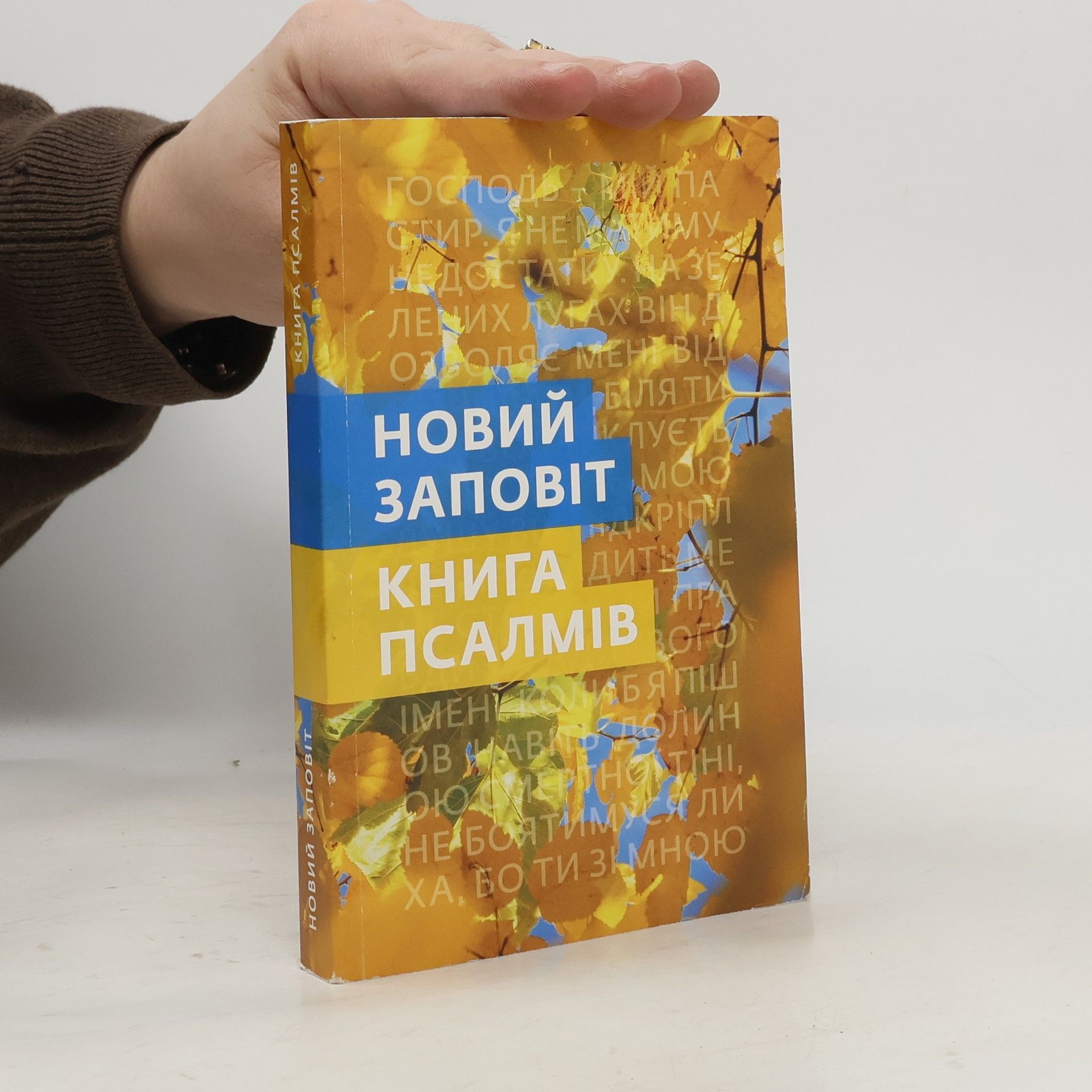 Autorenkollektiv Новий заповіт. Книга псалмів (Novyy zapovit. Knyha psalmiv)