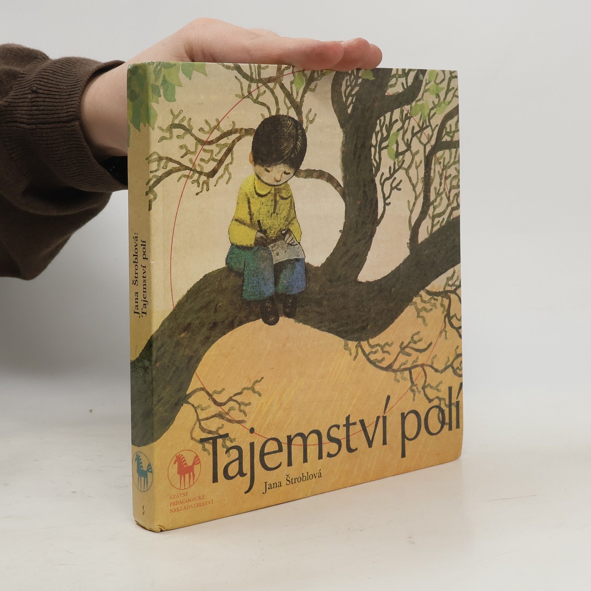 Štroblová Jana Tajemství polí