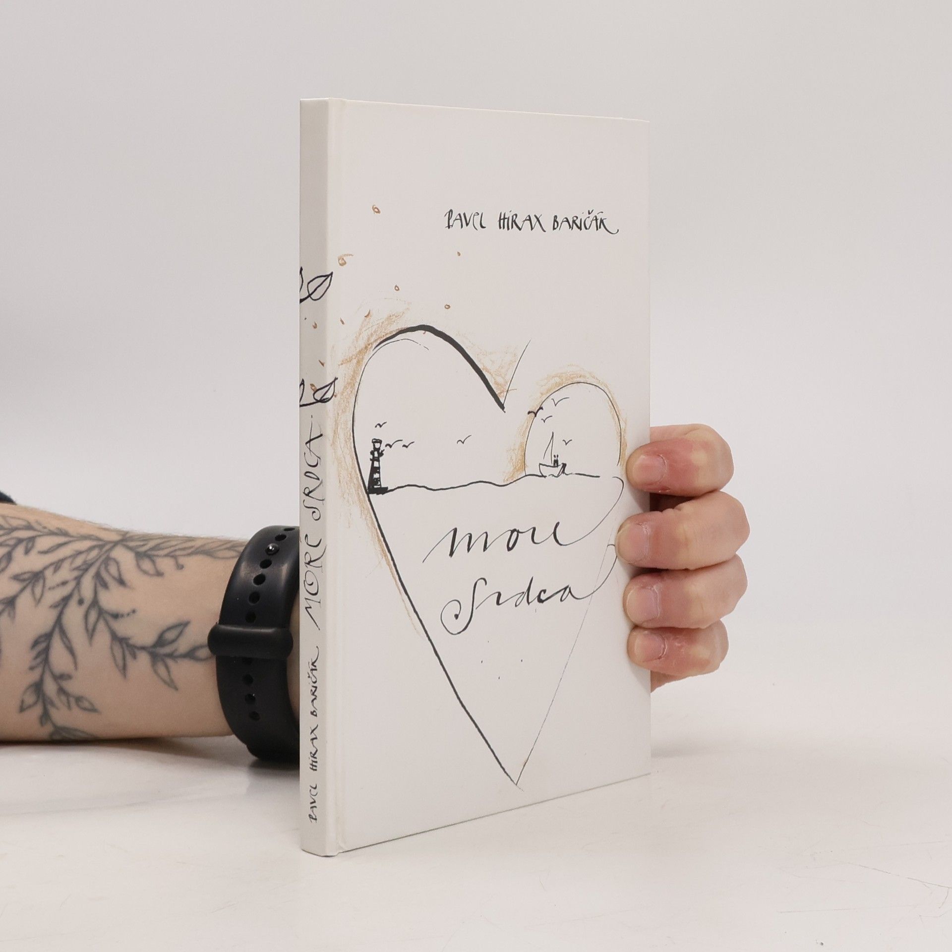 Pavel "Hirax" Baričák More srdca