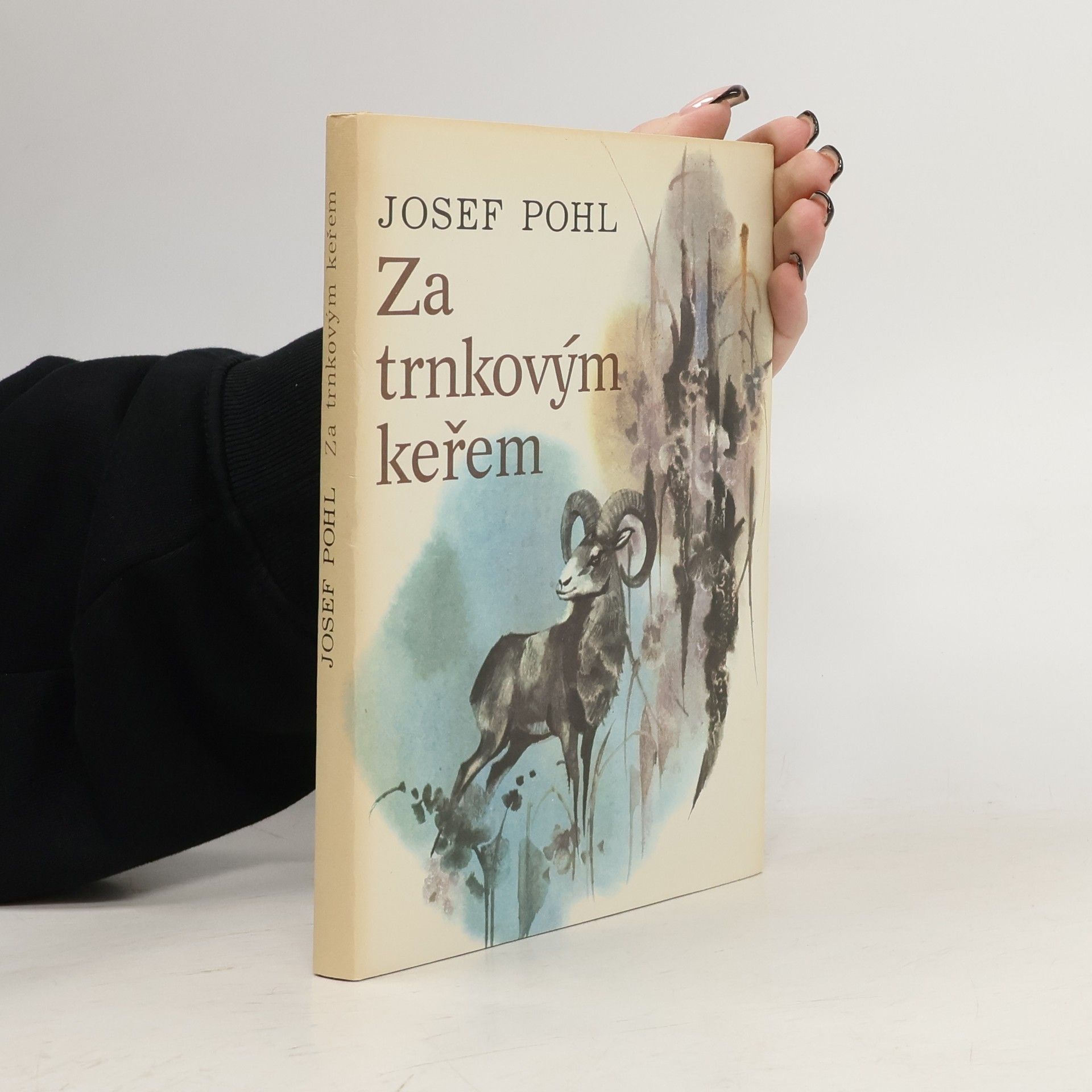 Josef Pohl Za trnkovým keřem