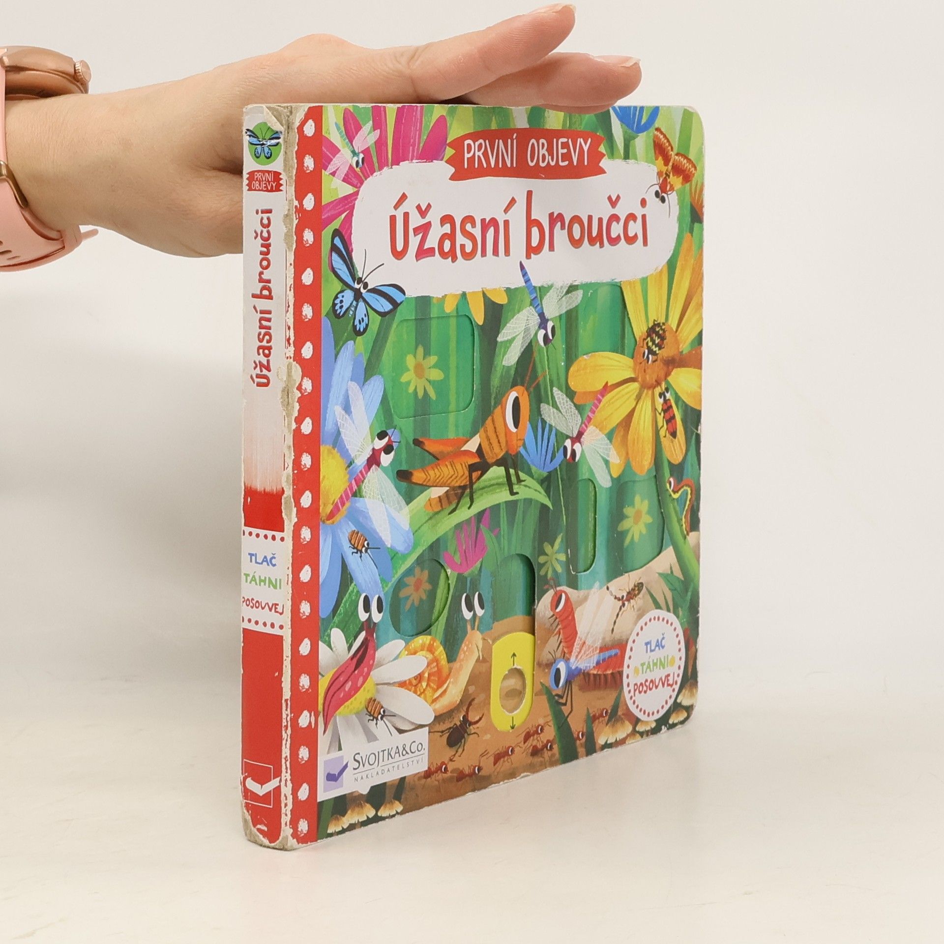 První objevy: Úžasní broučci