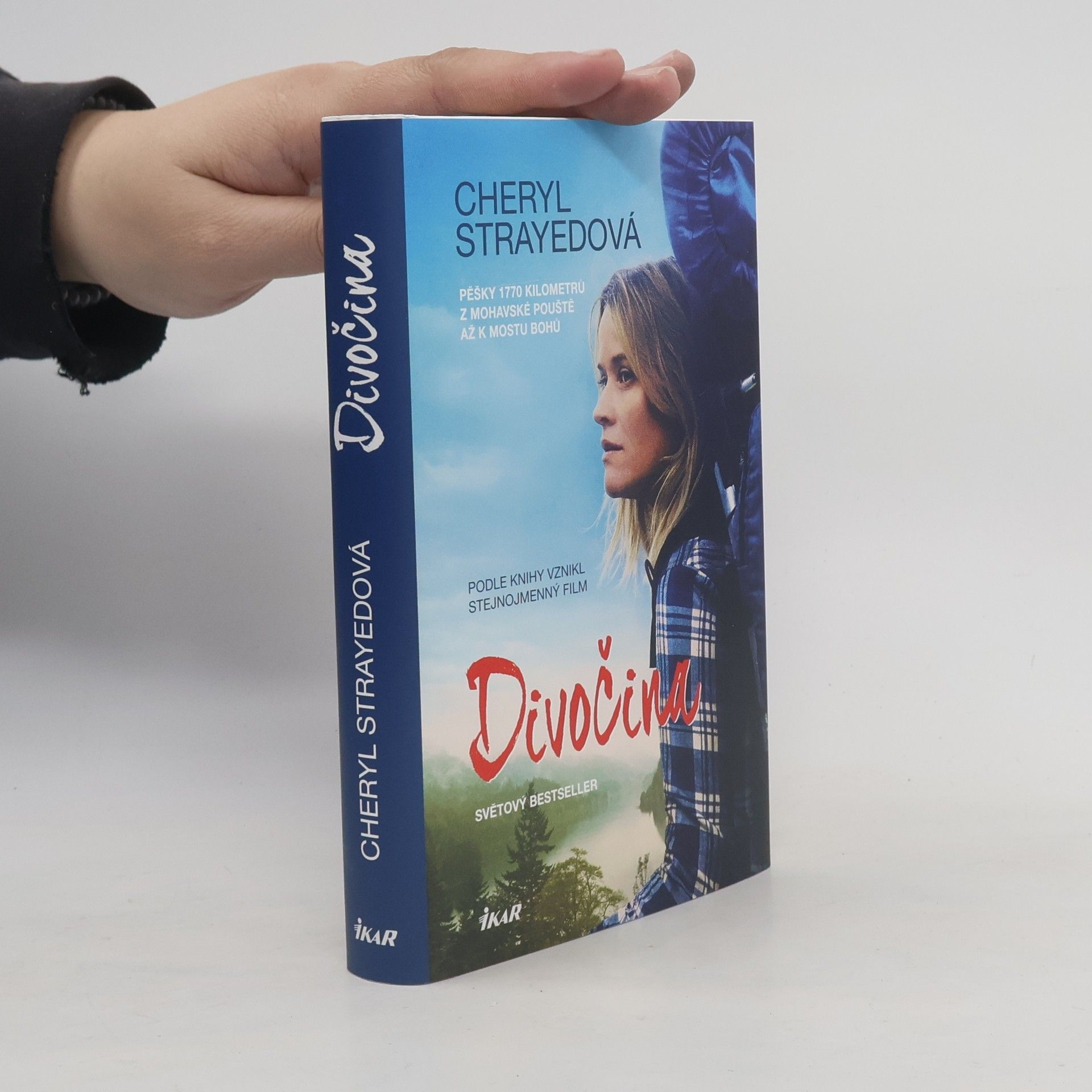 Cheryl Strayed Divočina. Pěšky 1770 kilometrů z Mohavské pouště až k mostu bohů