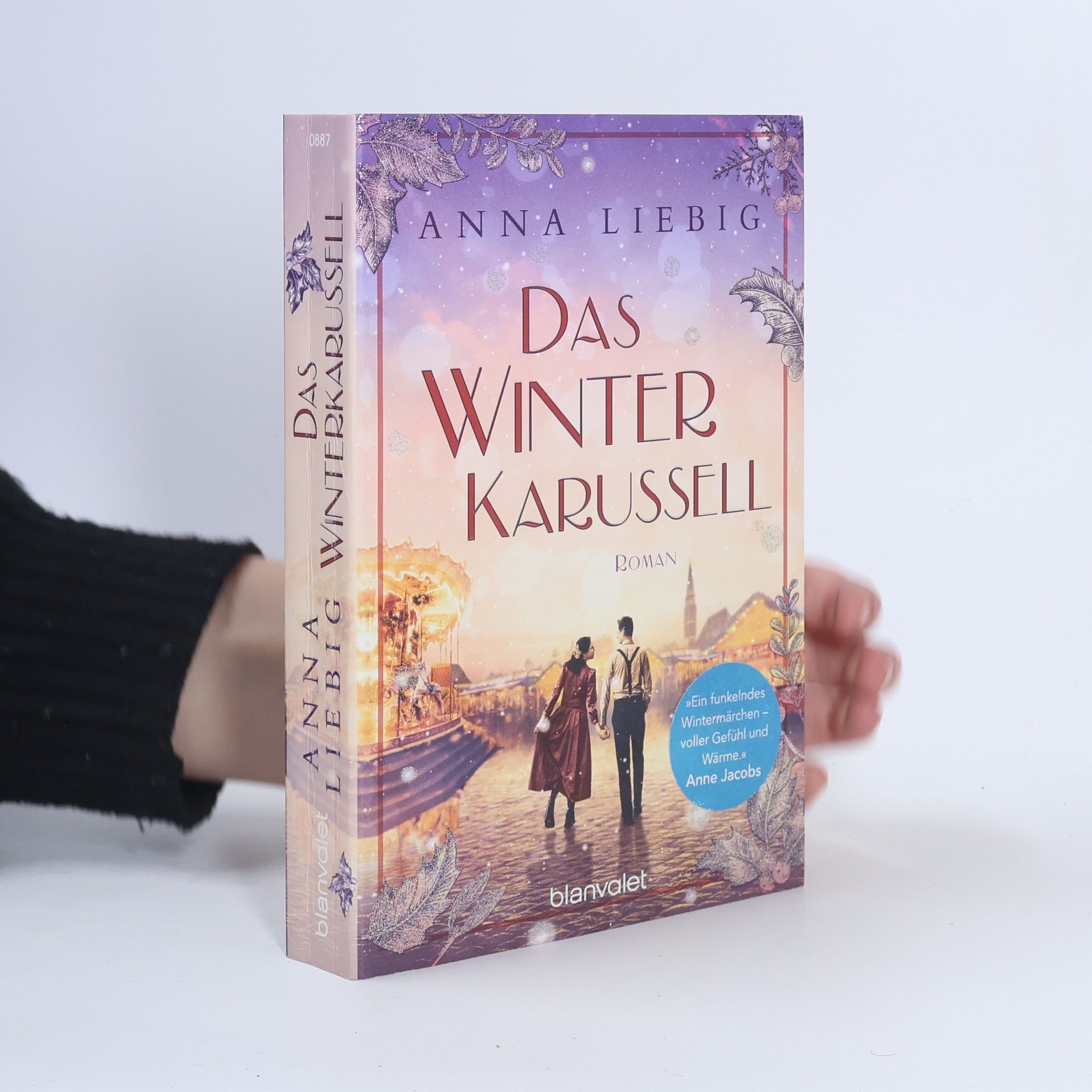 Anna Liebig Das winter karussell