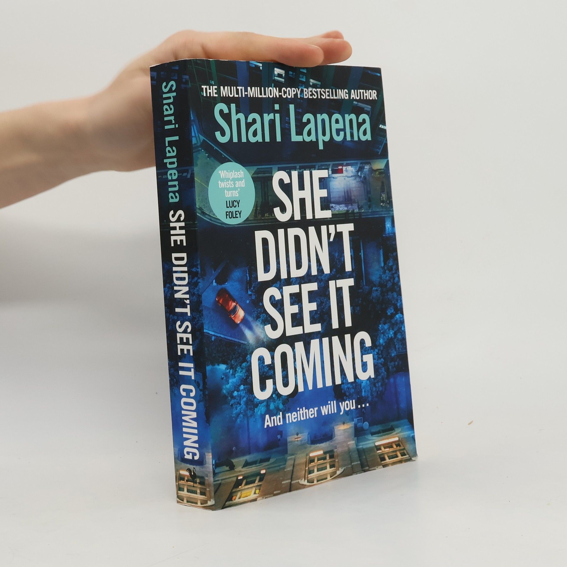 Shari Lapena She Didn't See It Coming