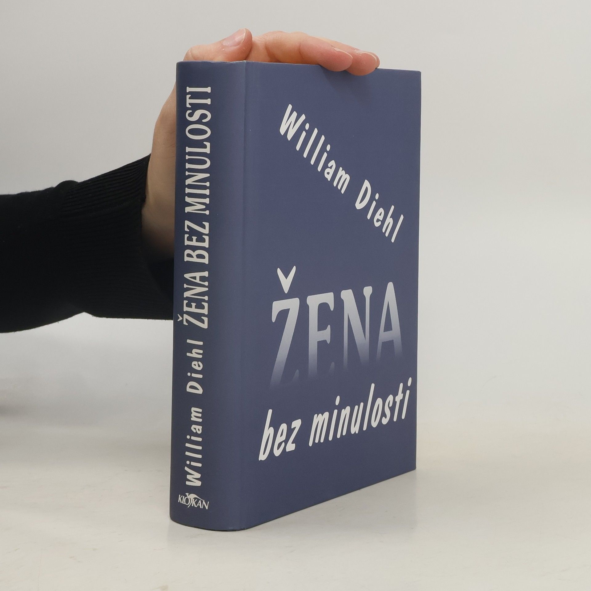 William Diehl Žena bez minulosti