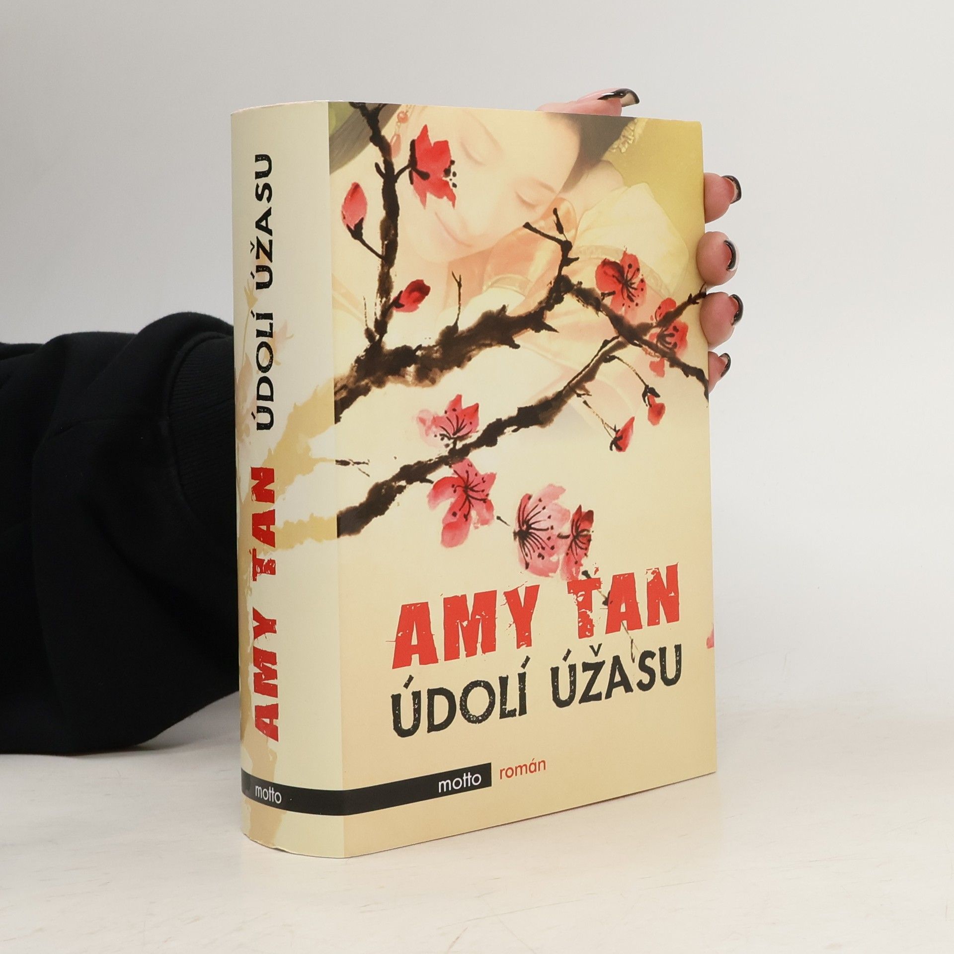 Amy Tan Údolí úžasu