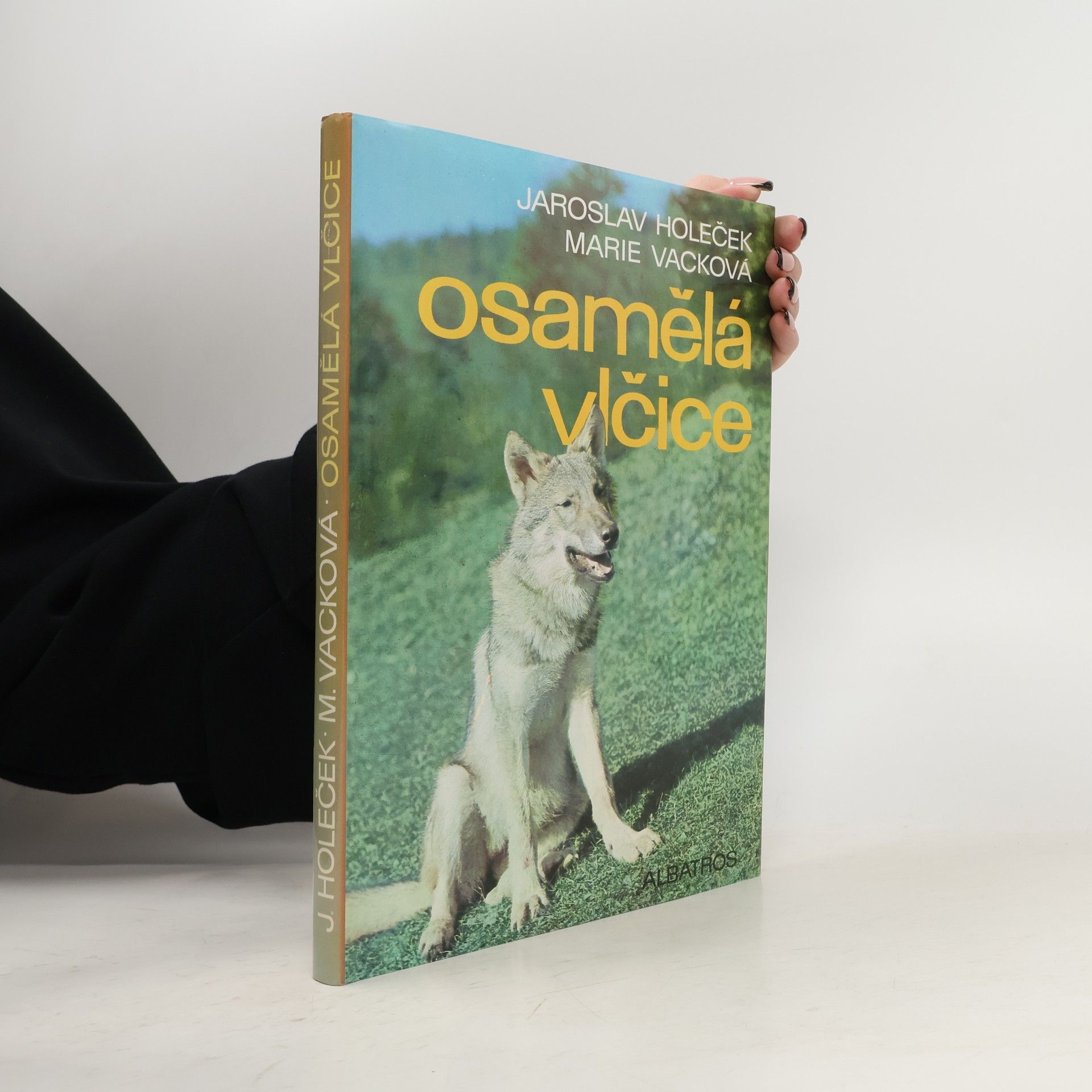 Jaroslav Holeček Osamělá vlčice