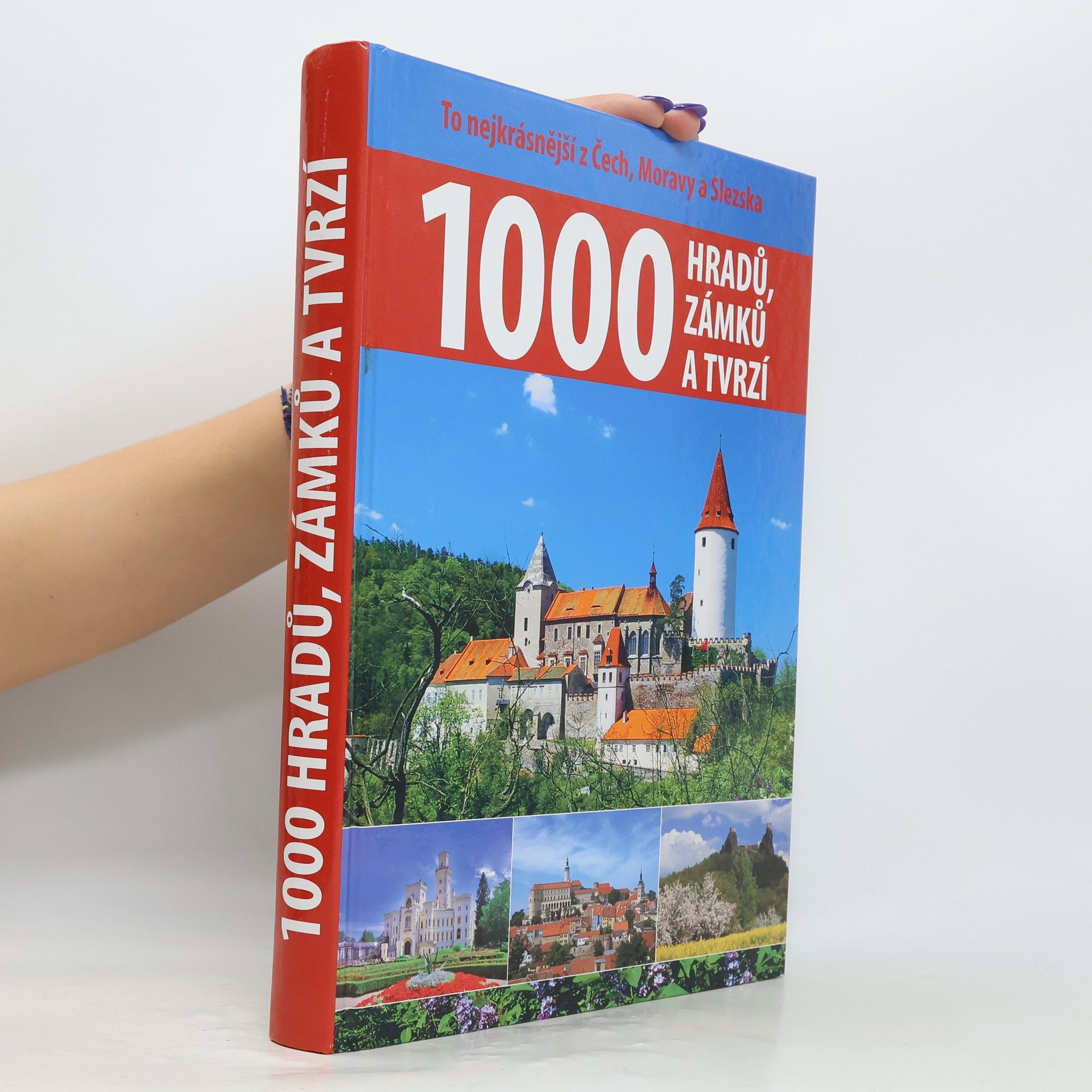 P. David 1000 hradů, zámků a tvrzí