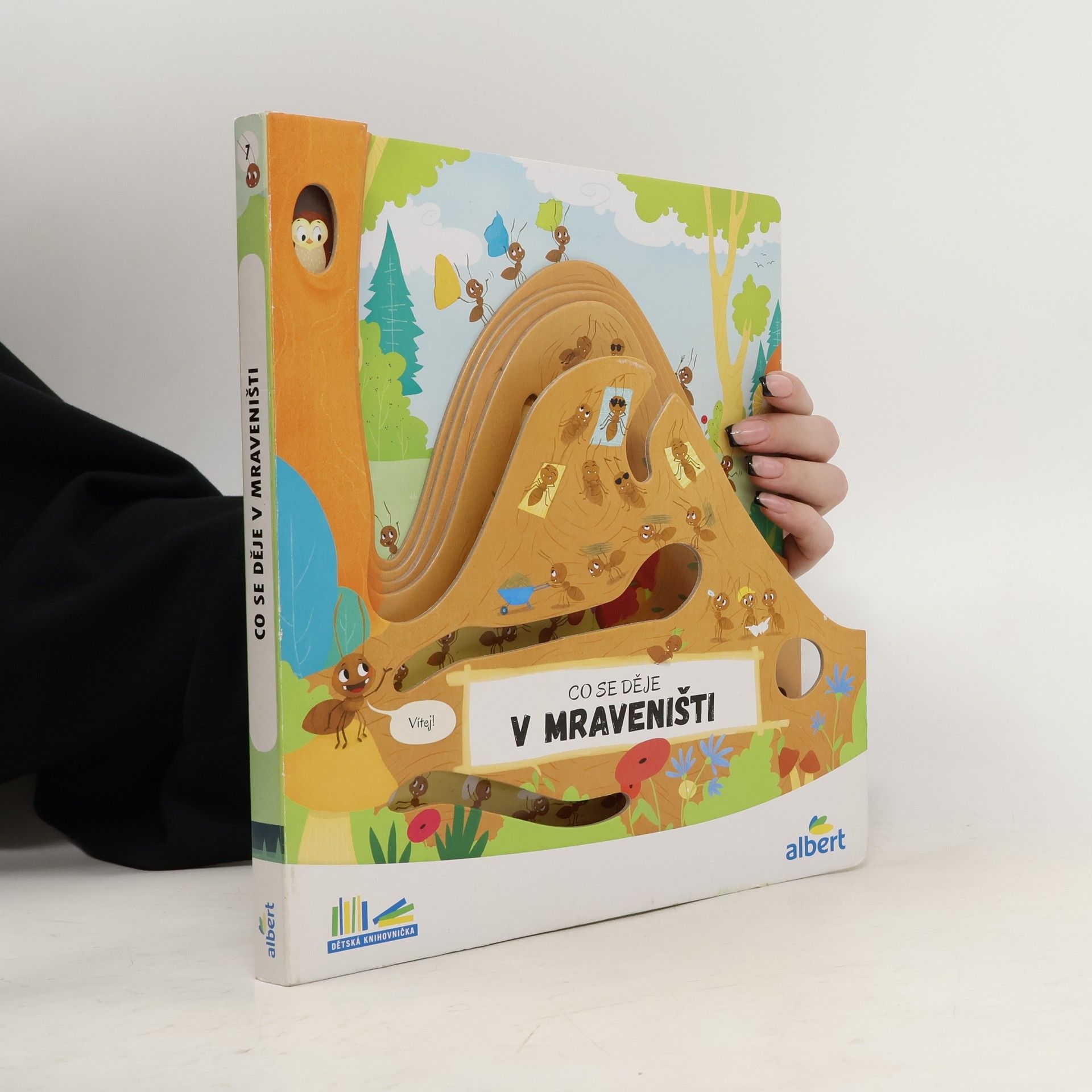 AA.VV. Co se děje v mraveništi