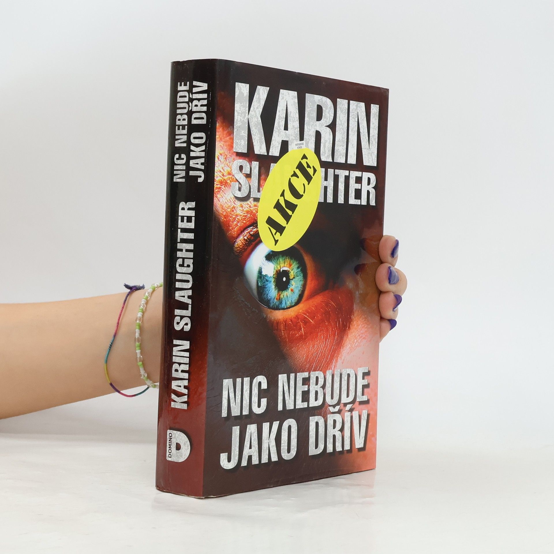 Karin Slaughter Nic nebude jako dřív