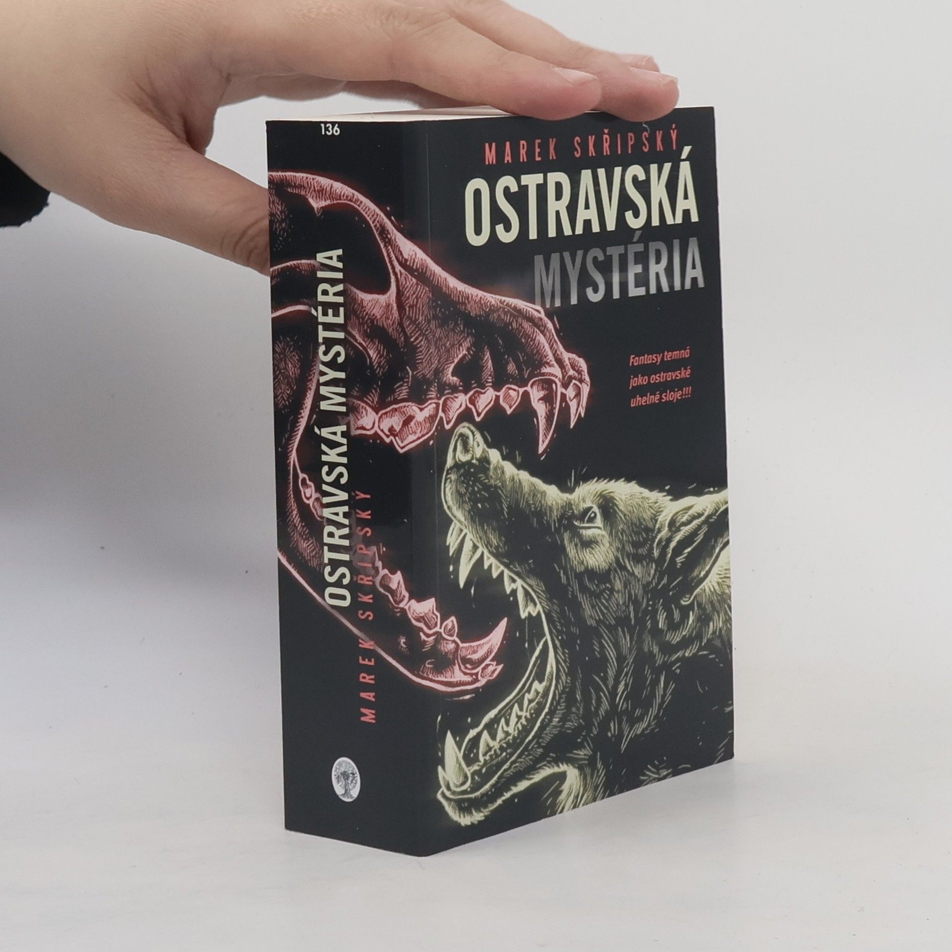 Marek Skřipský Ostravská mystéria