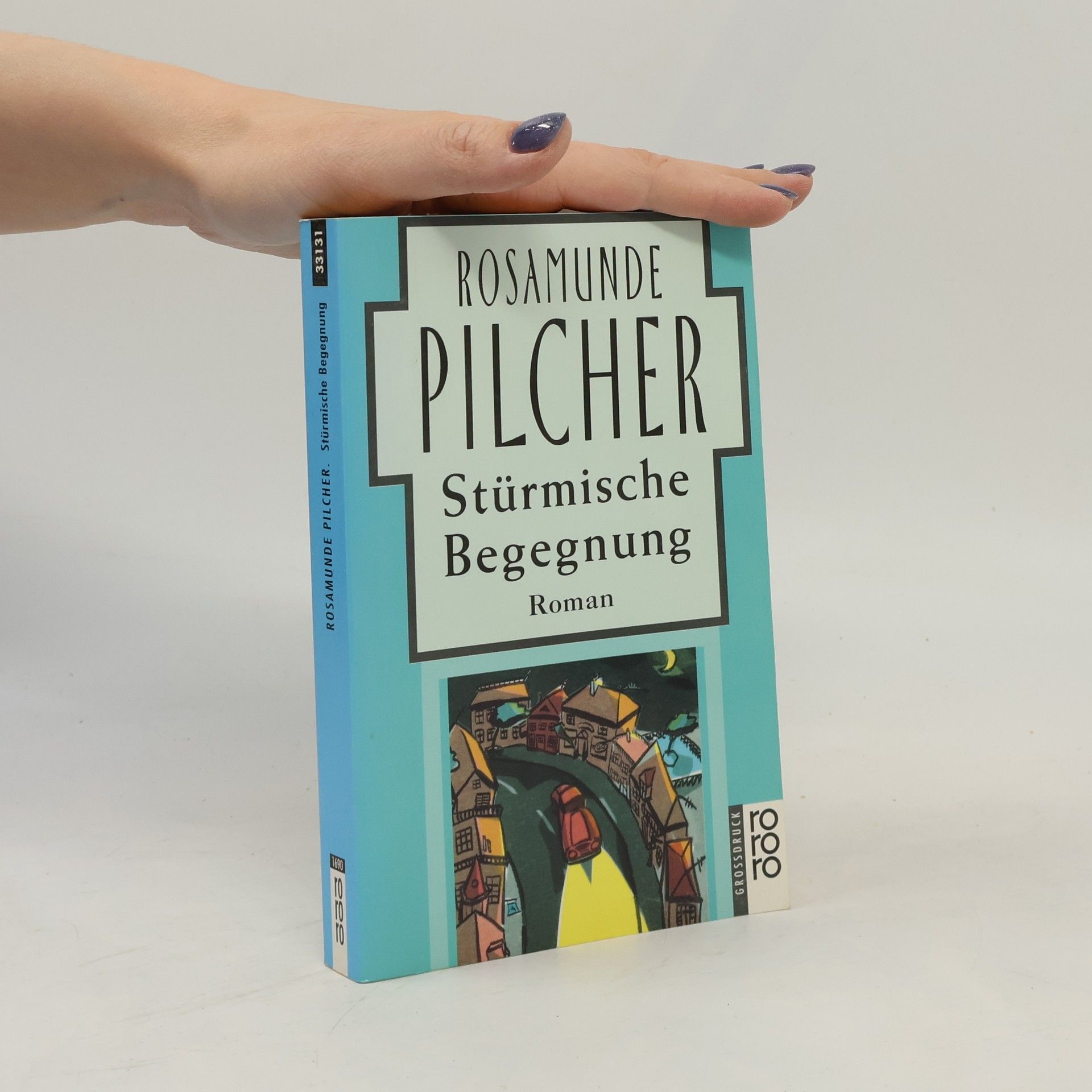 Rosamunde Pilcher Stürmische Begegnung, Großdruck