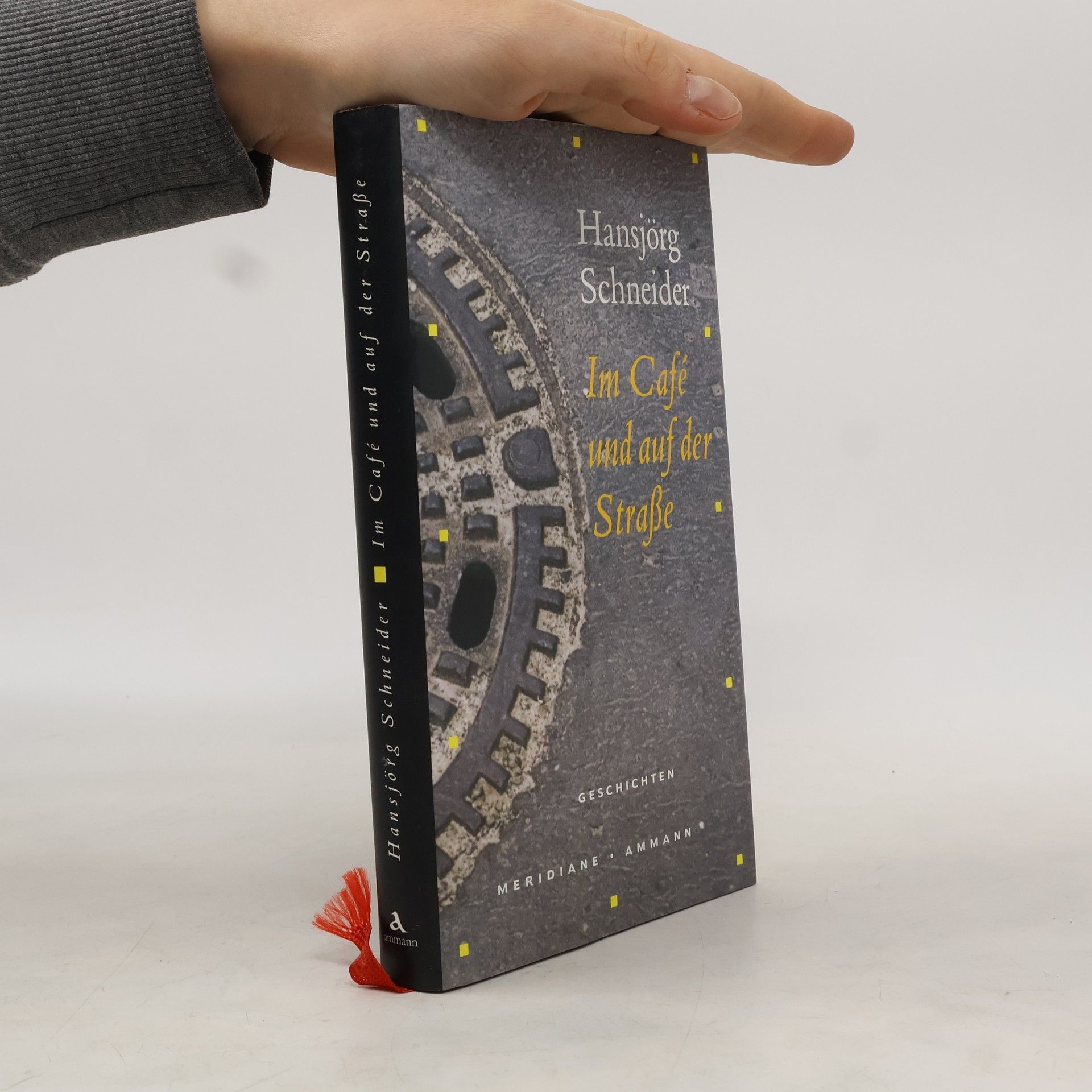 Hansjörg Schneider Im Café und auf der Strasse Geschichten