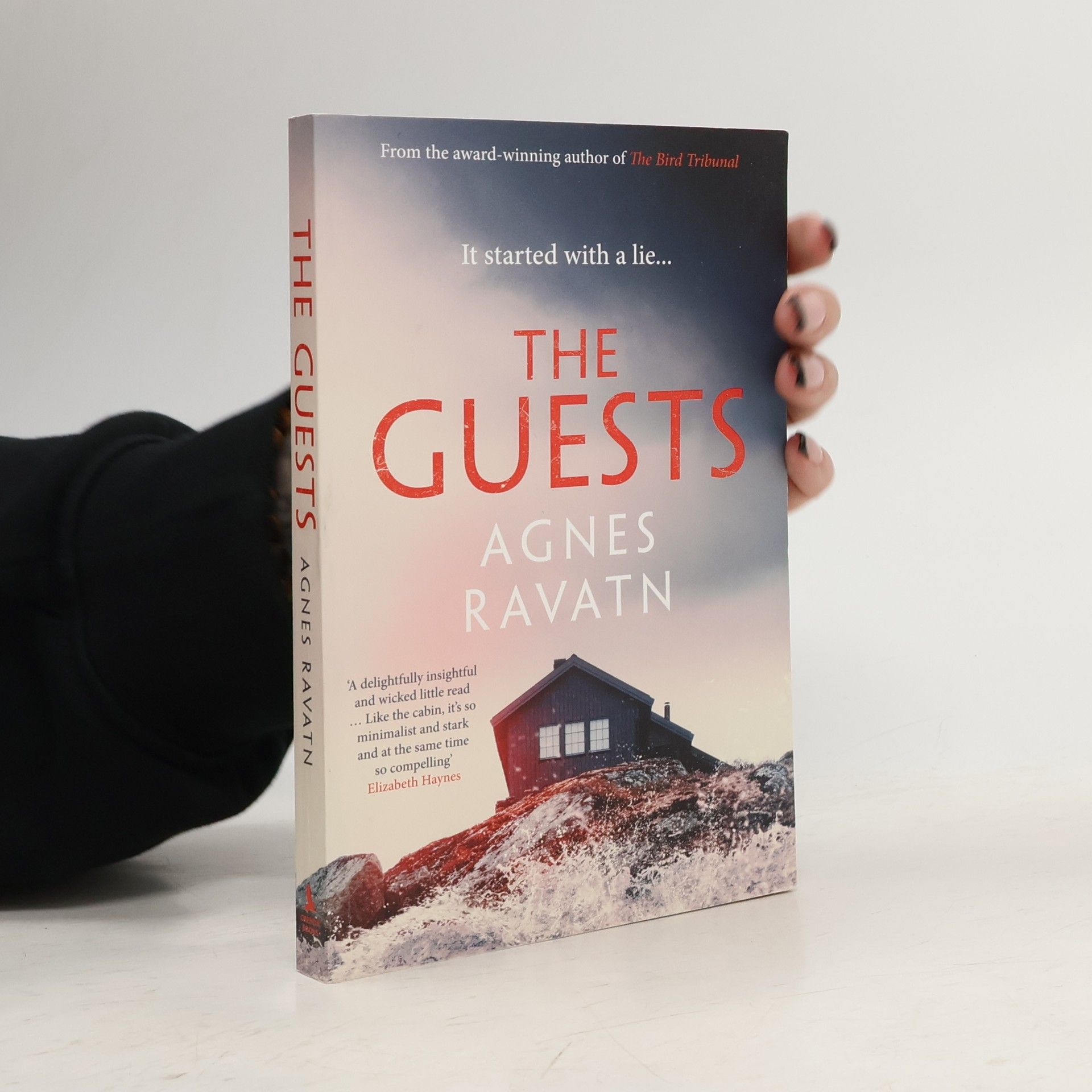 Agnes Ravatn The Guests