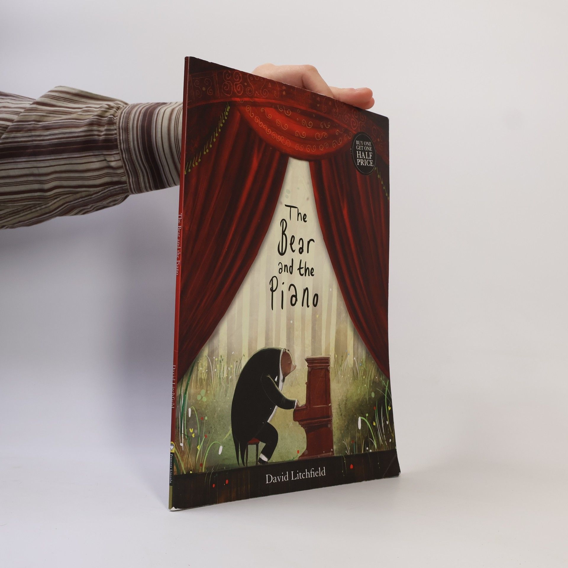 David Litchfield The Bear and the Piano