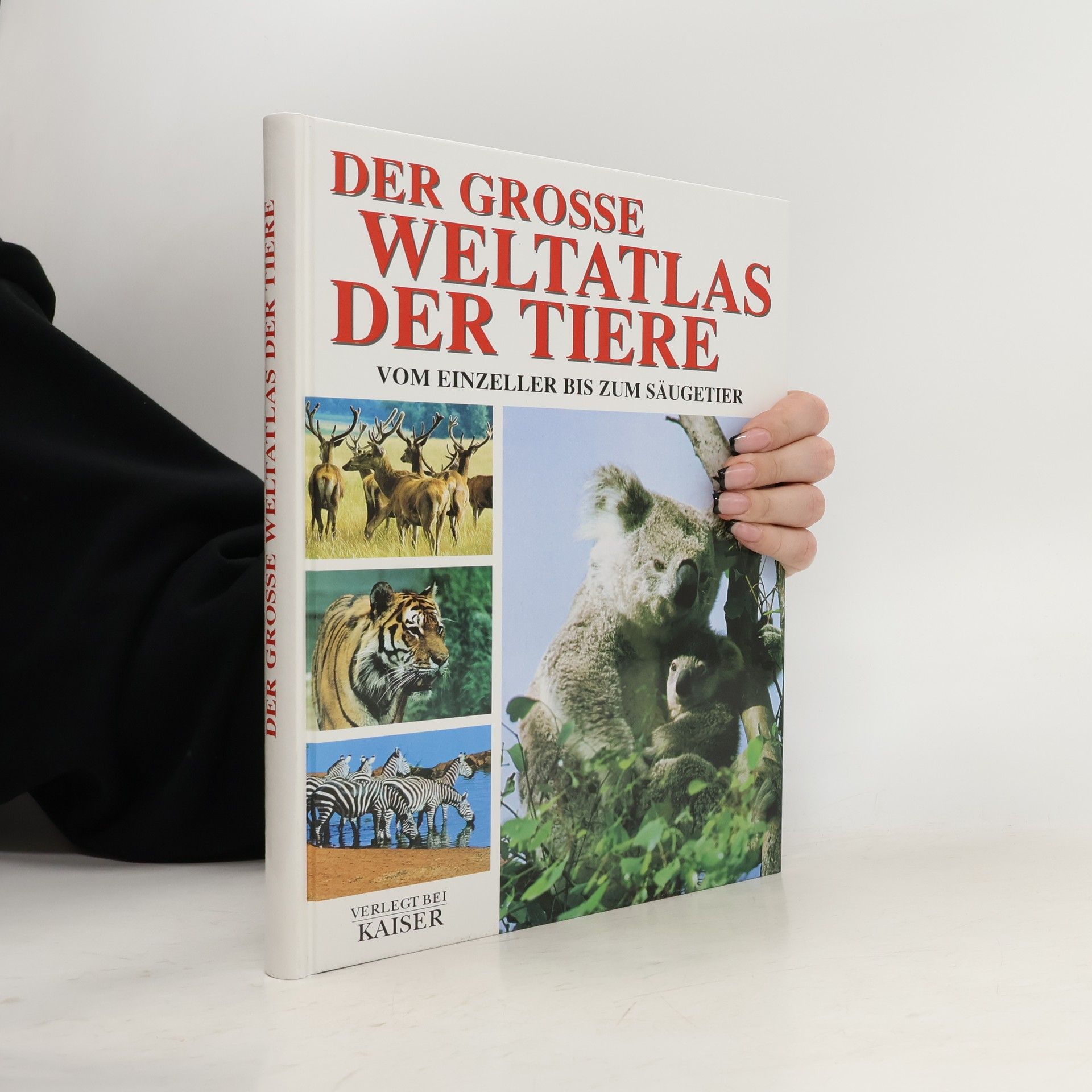 Elena Marcon Der grosse Weltatlas der Tiere