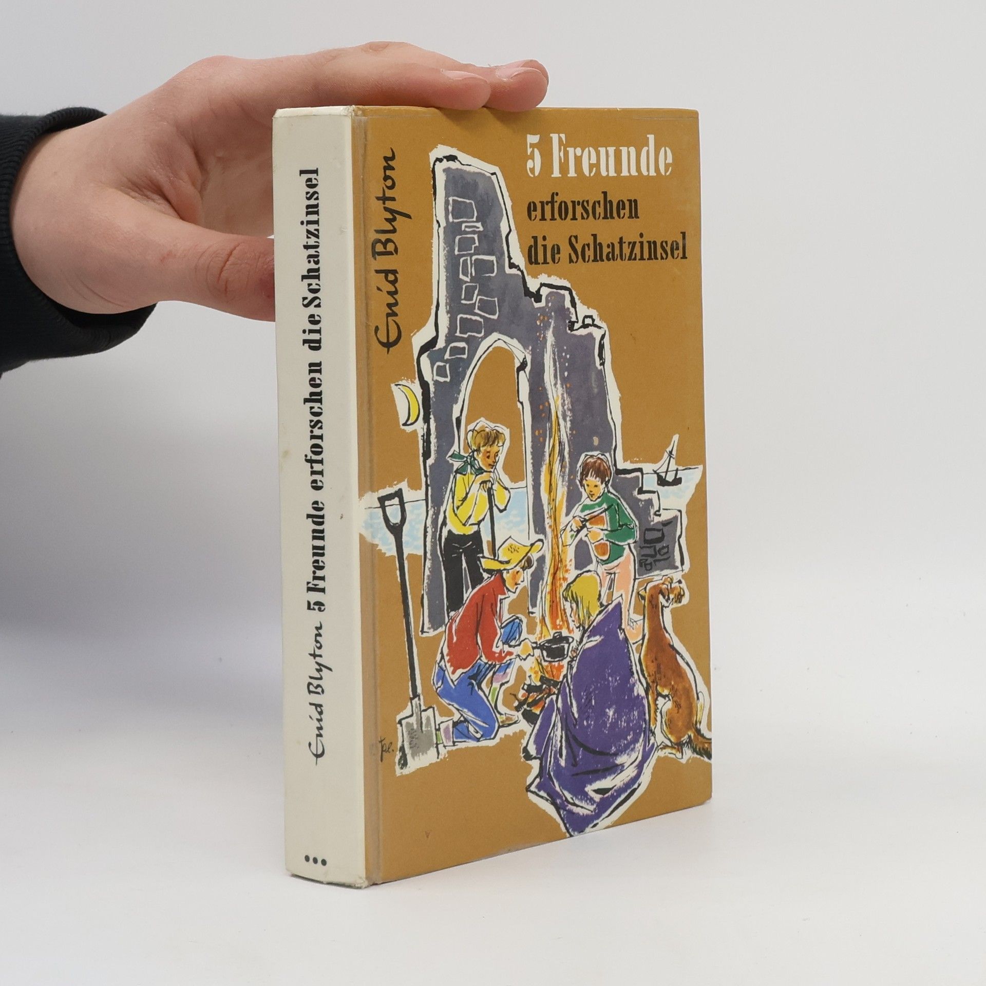 Enid Blyton 5 Freunde erforschen die Schatzinsel