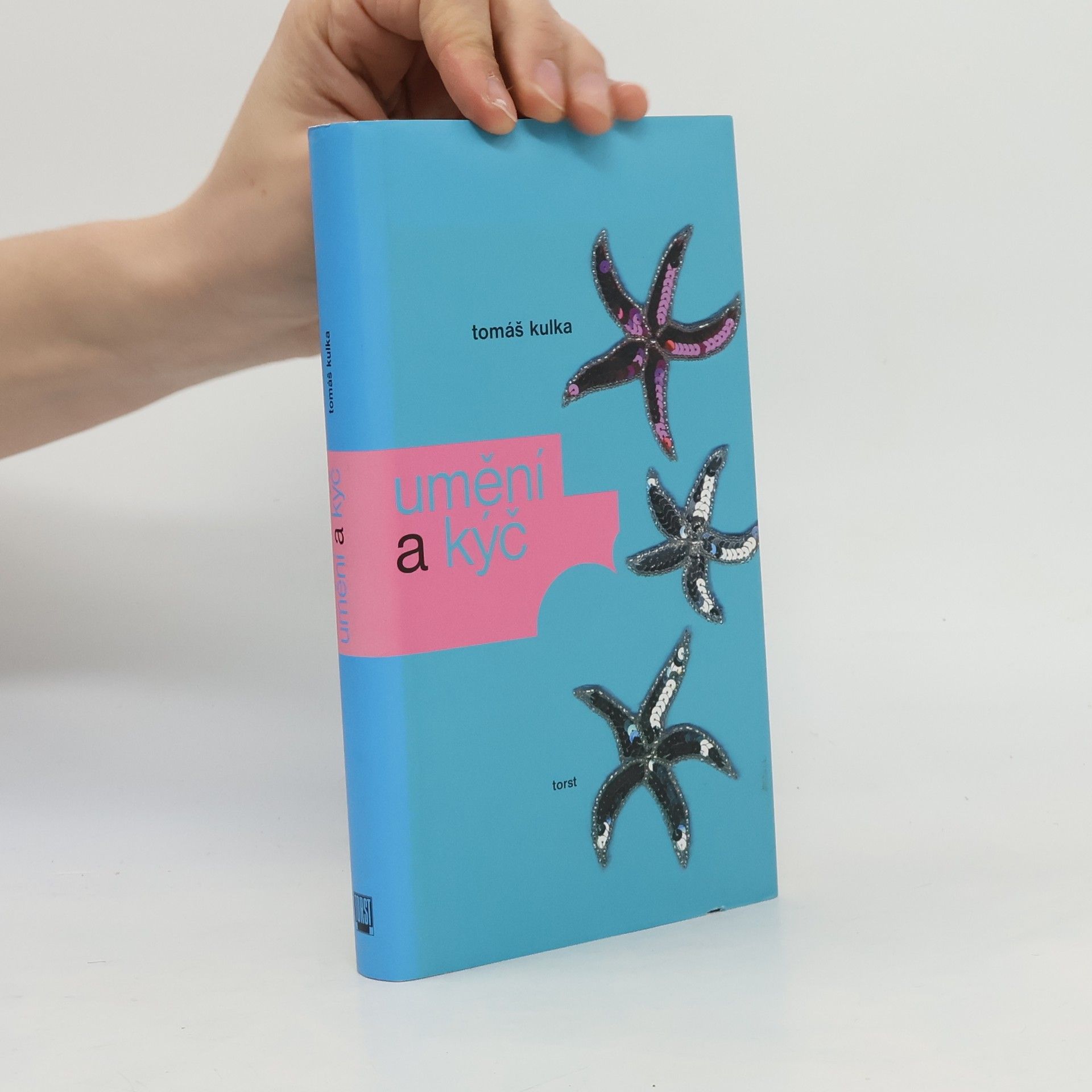 Tomáš Kulka Umění a kýč